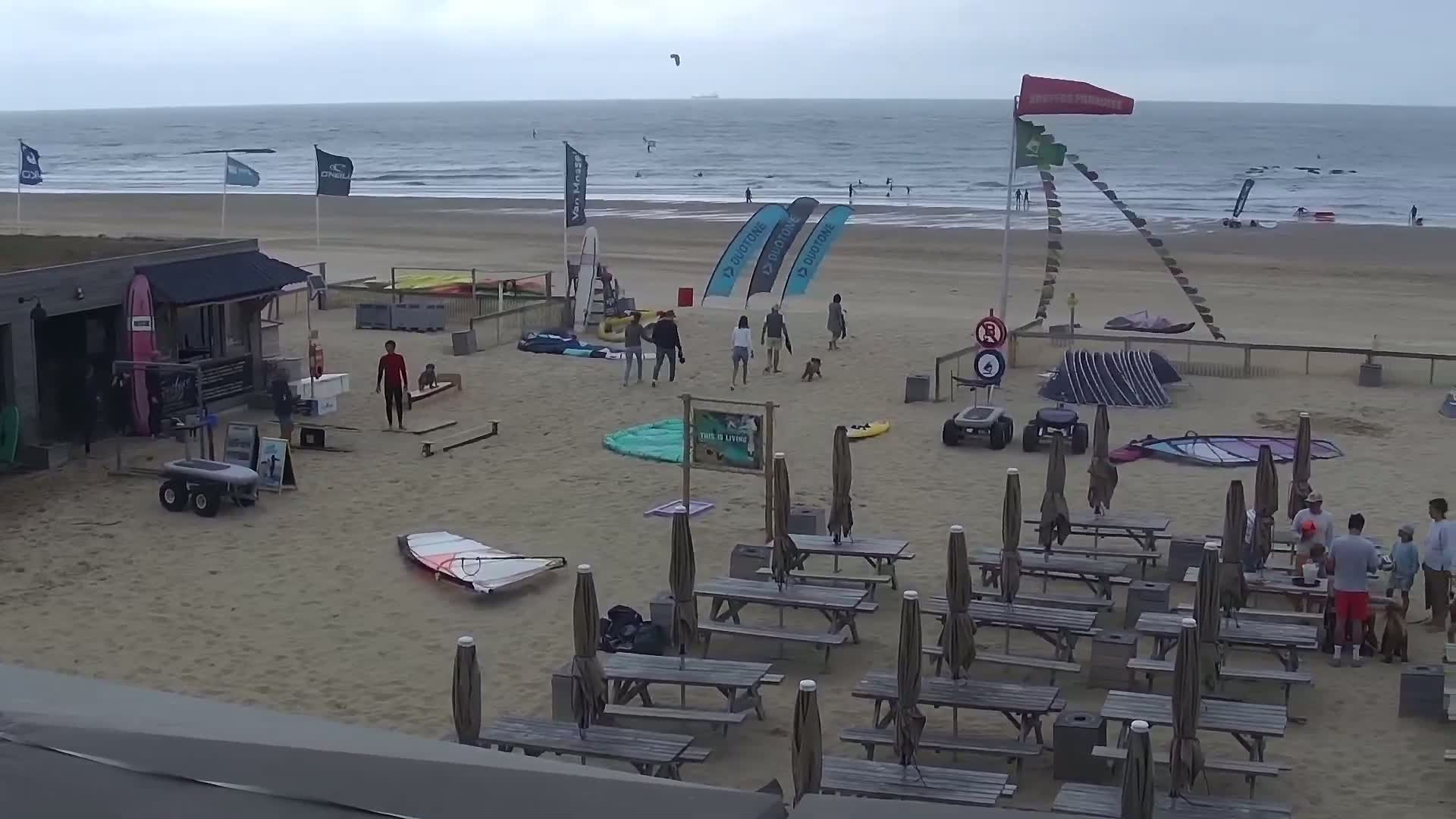 Knokke-Heist, Lekkerbek , Plage Chiens Kodak Live Cam - Bruges, West Flanders (Flandre-Occidentale), Flemish (Flamande), Belgium