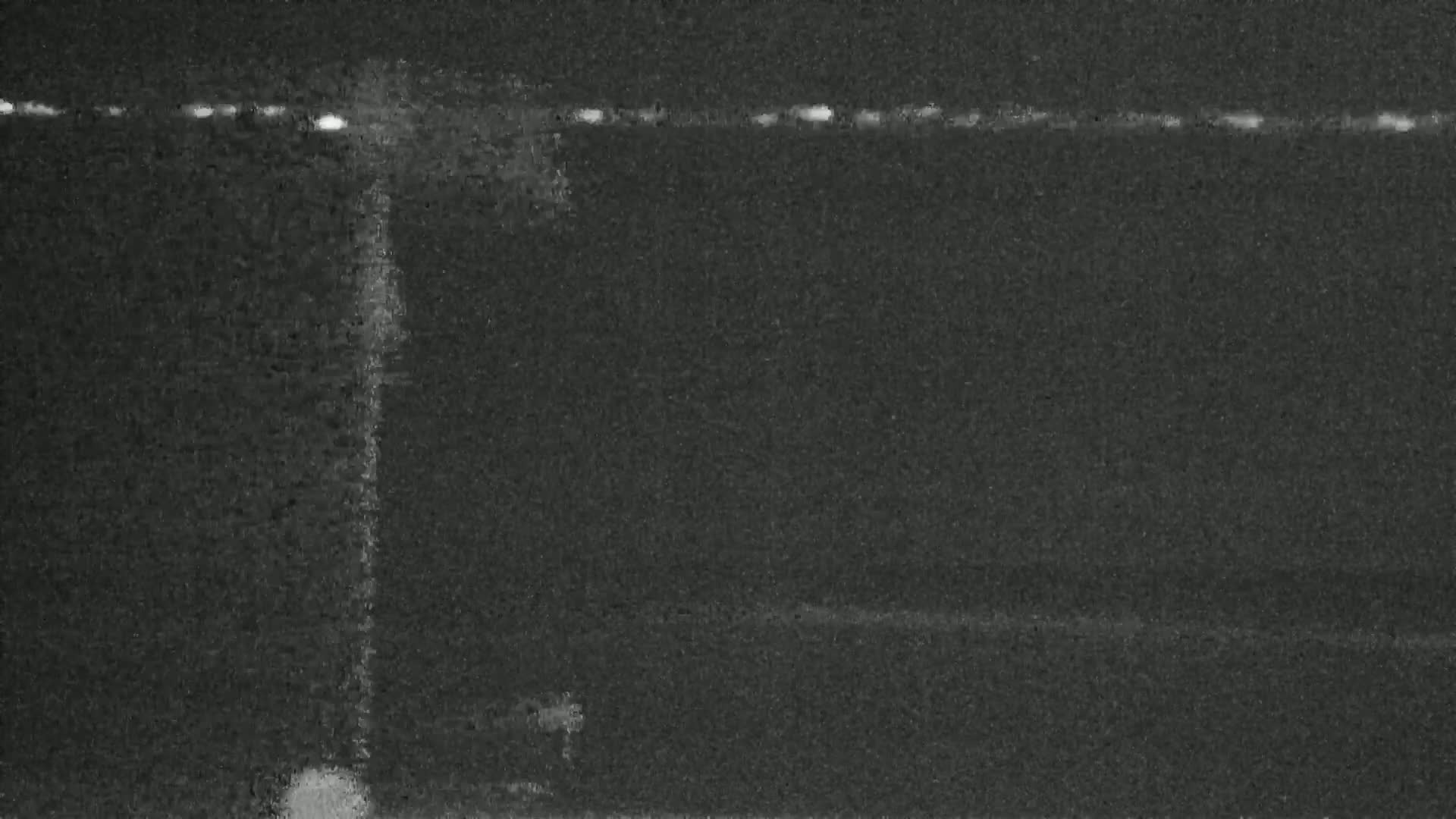 Knokke-Heist, Lekkerbek , Plage Chiens Kodak Live Cam - Bruges, West Flanders (Flandre-Occidentale), Flemish (Flamande), Belgium