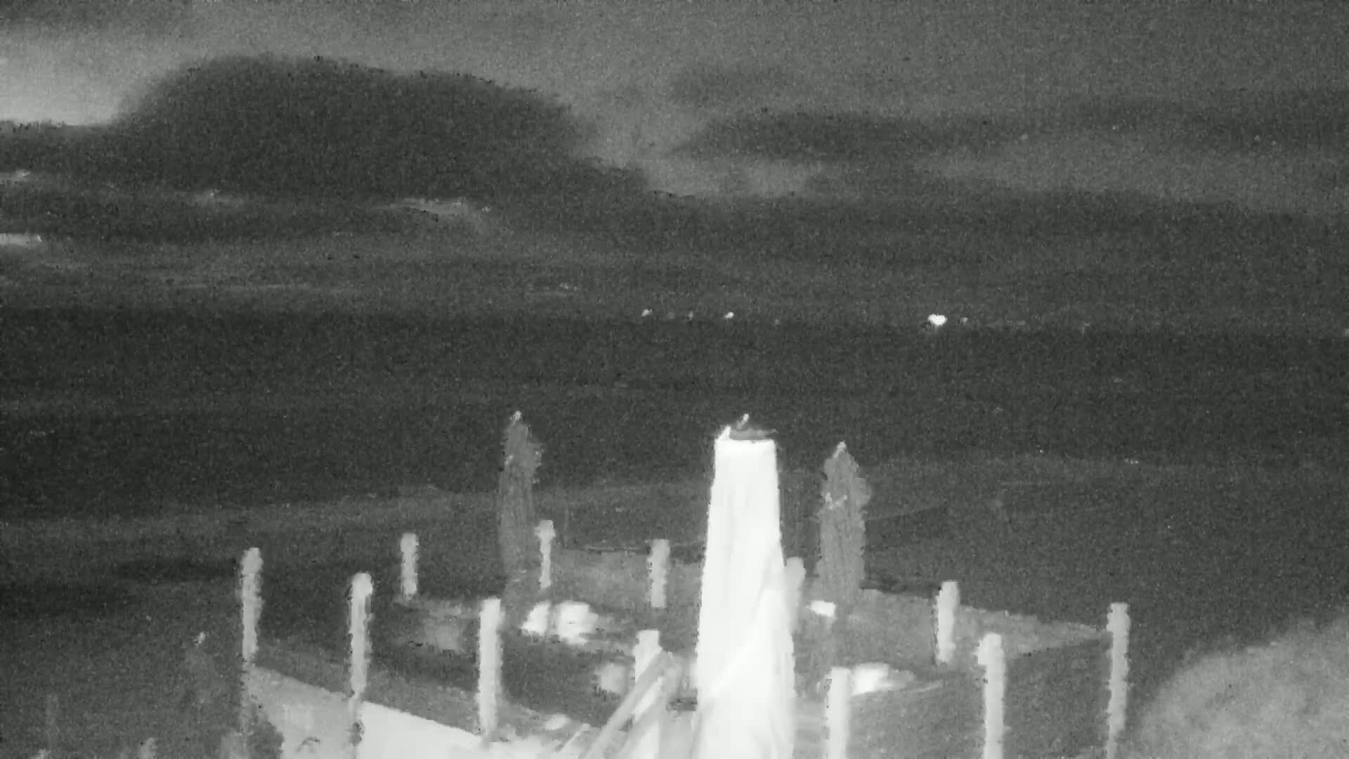 Knokke-Heist, Lekkerbek , Plage Chiens Kodak Live Cam - Bruges, West Flanders (Flandre-Occidentale), Flemish (Flamande), Belgium