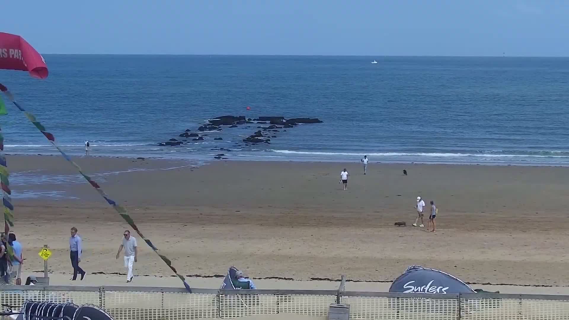 Knokke-Heist, Lekkerbek , Plage Chiens Kodak Live Cam - Bruges, West Flanders (Flandre-Occidentale), Flemish (Flamande), Belgium