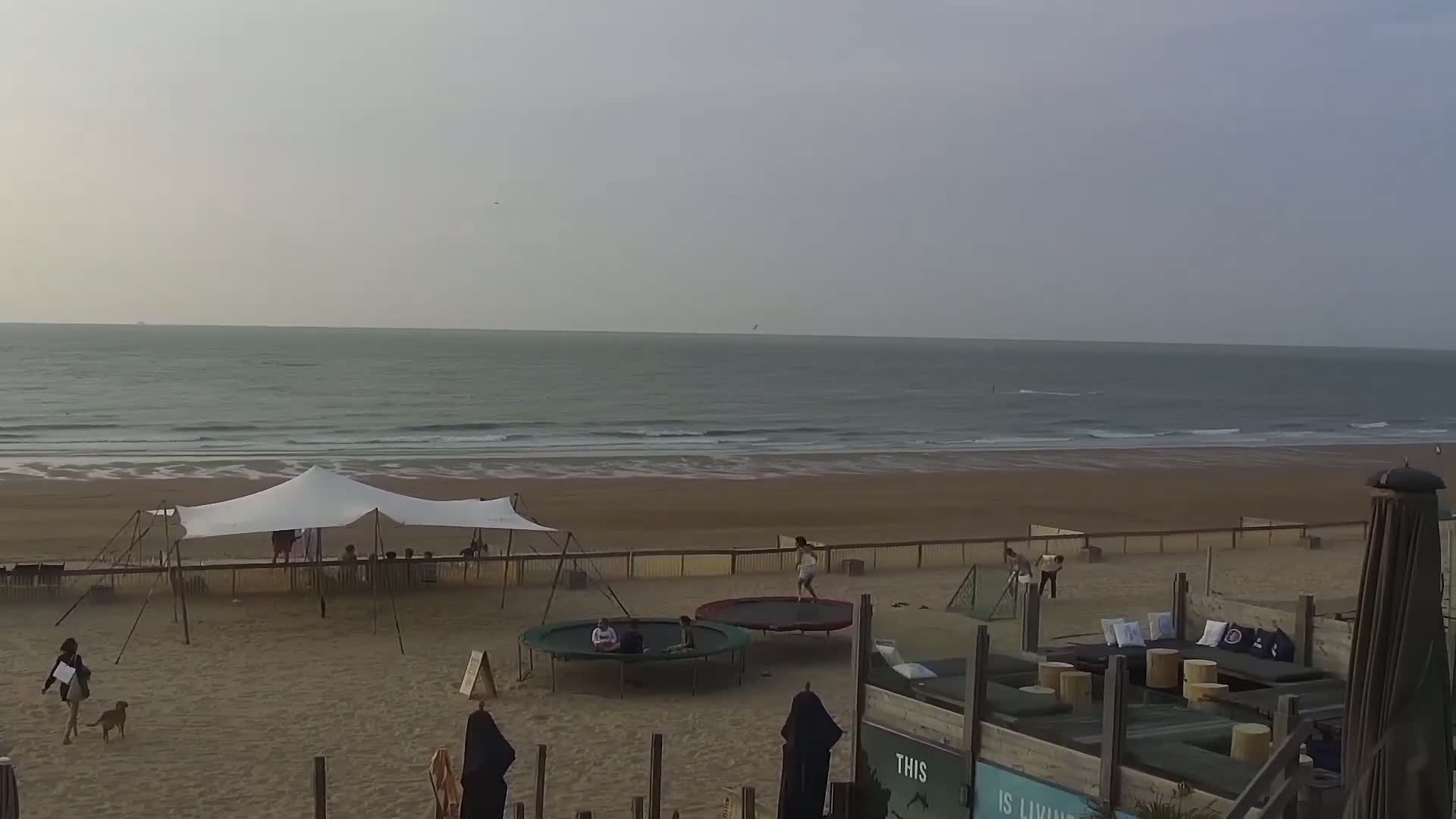 Knokke-Heist, Lekkerbek , Plage Chiens Kodak Live Cam - Bruges, West Flanders (Flandre-Occidentale), Flemish (Flamande), Belgium