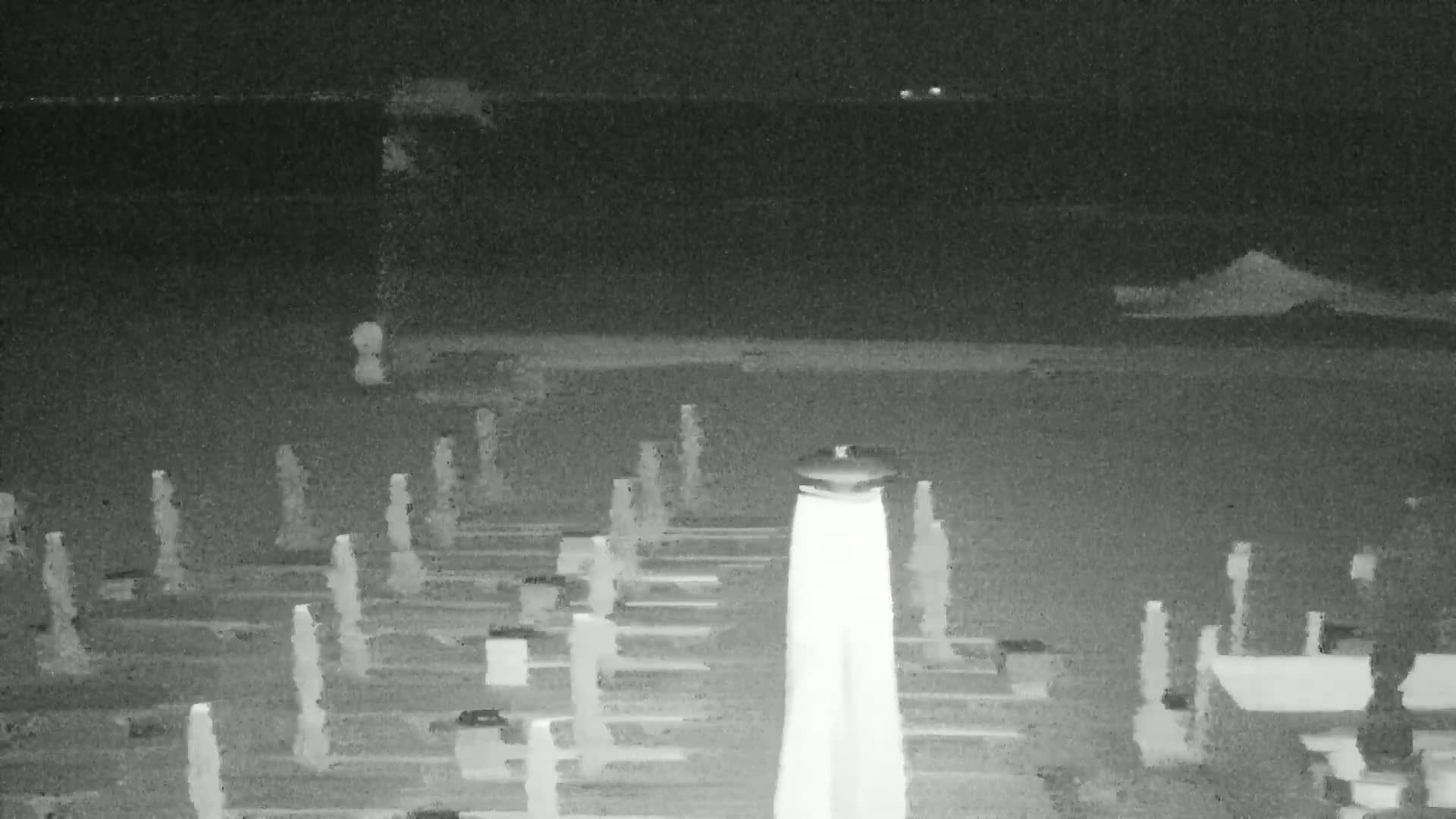 Knokke-Heist, Lekkerbek , Plage Chiens Kodak Live Cam - Bruges, West Flanders (Flandre-Occidentale), Flemish (Flamande), Belgium