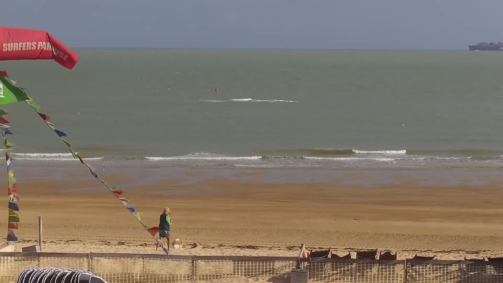 Knokke-Heist, Lekkerbek , Plage Chiens Kodak Live Cam - Bruges, West Flanders (Flandre-Occidentale), Flemish (Flamande), Belgium
