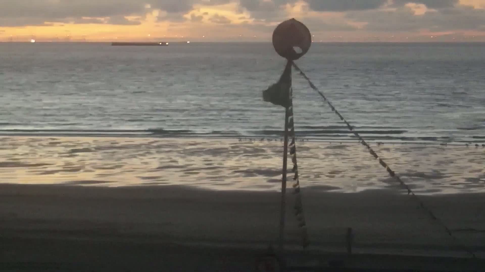 Knokke-Heist, Lekkerbek , Plage Chiens Kodak Live Cam - Bruges, West Flanders (Flandre-Occidentale), Flemish (Flamande), Belgium