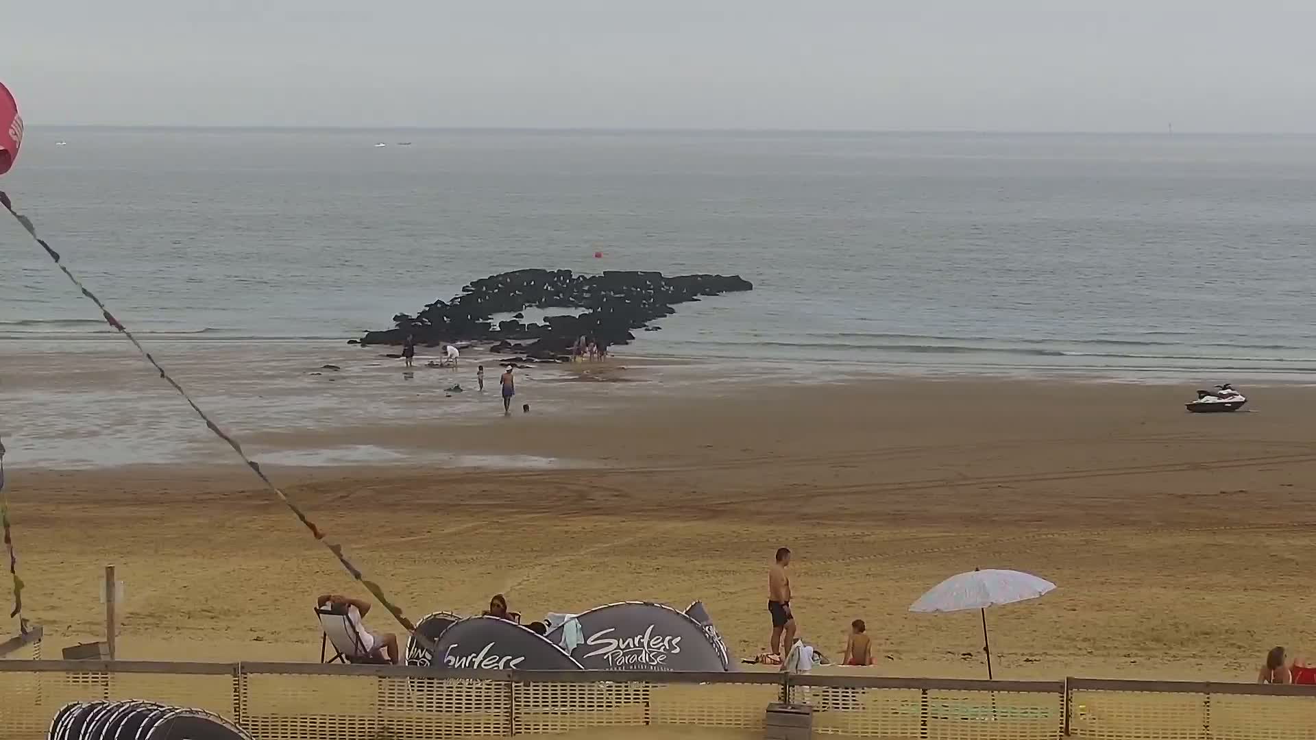 Knokke-Heist, Lekkerbek , Plage Chiens Kodak Live Cam - Bruges, West Flanders (Flandre-Occidentale), Flemish (Flamande), Belgium
