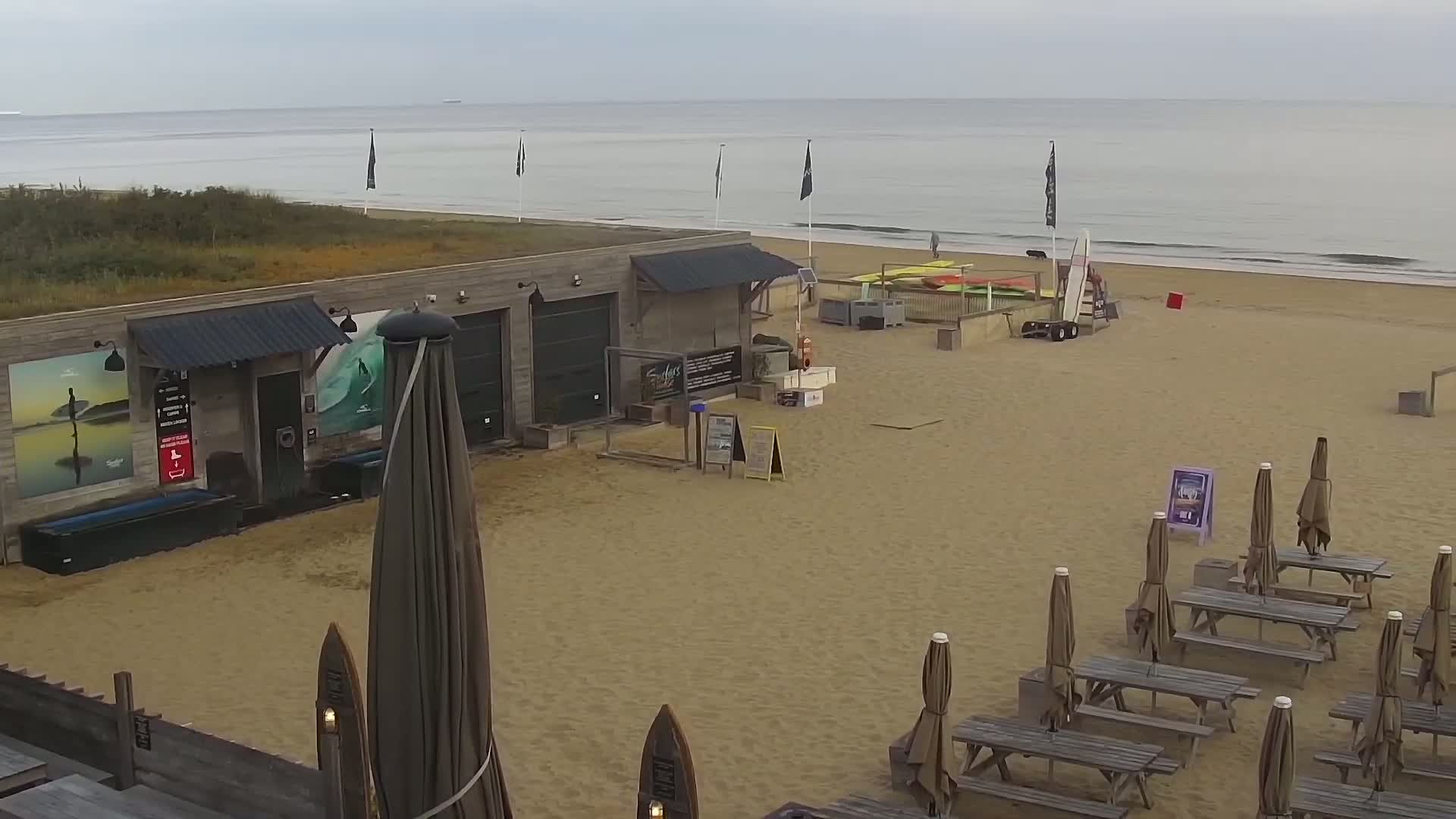 Knokke-Heist, Lekkerbek , Plage Chiens Kodak Live Cam - Bruges, West Flanders (Flandre-Occidentale), Flemish (Flamande), Belgium