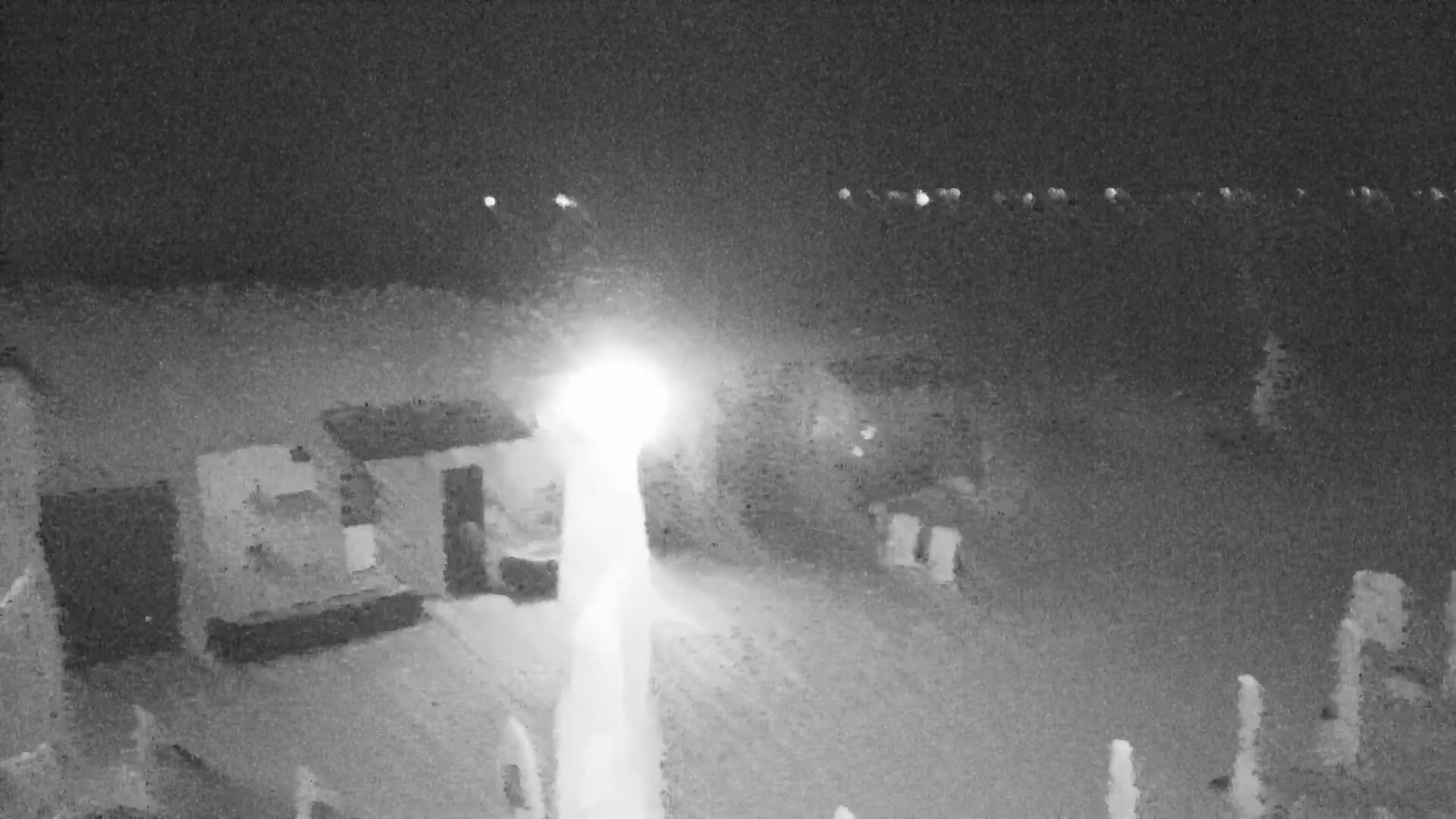 Knokke-Heist, Lekkerbek , Plage Chiens Kodak Live Cam - Bruges, West Flanders (Flandre-Occidentale), Flemish (Flamande), Belgium