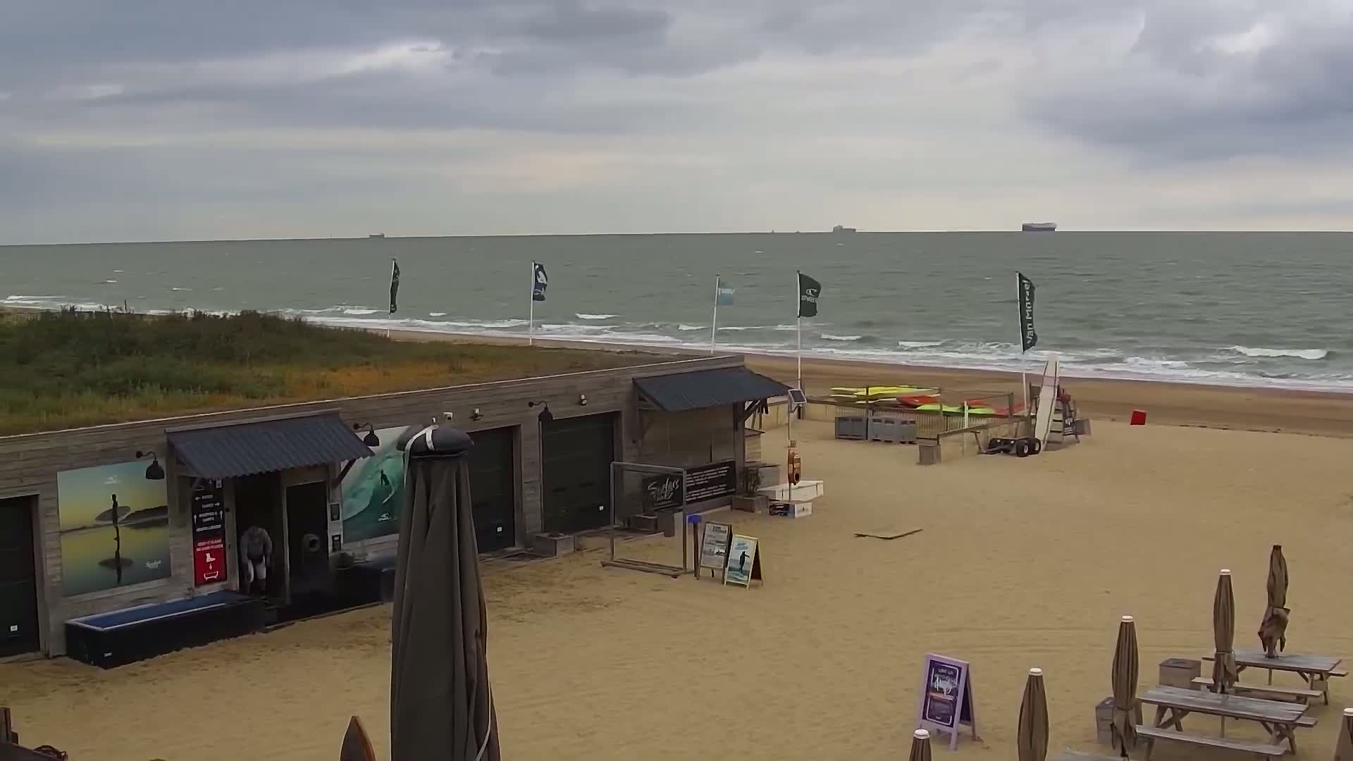 Knokke-Heist, Lekkerbek , Plage Chiens Kodak Live Cam - Bruges, West Flanders (Flandre-Occidentale), Flemish (Flamande), Belgium