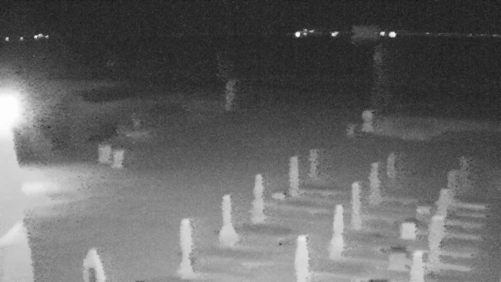 Knokke-Heist, Lekkerbek , Plage Chiens Kodak Live Cam - Bruges, West Flanders (Flandre-Occidentale), Flemish (Flamande), Belgium