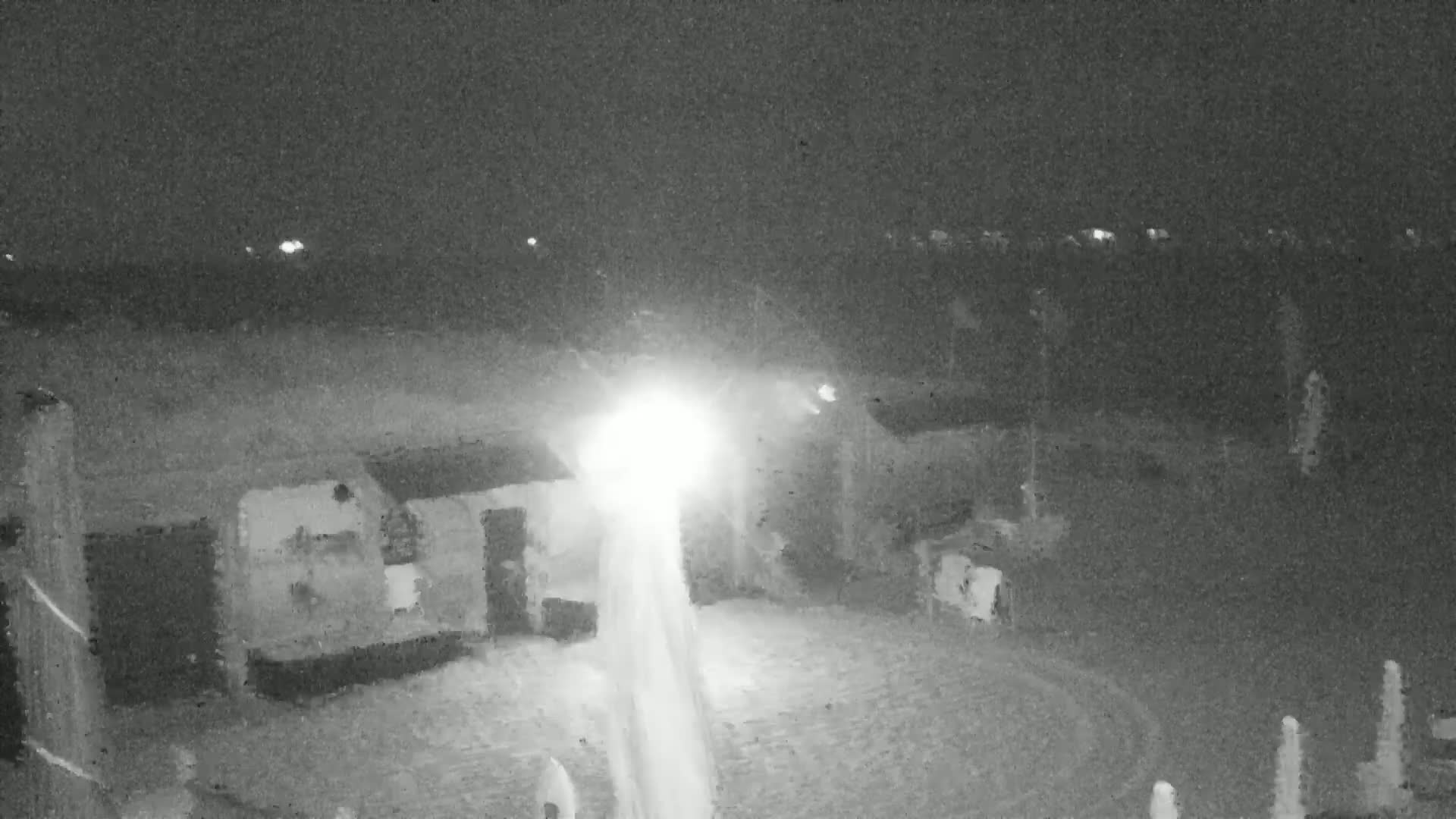 Knokke-Heist, Lekkerbek , Plage Chiens Kodak Live Cam - Bruges, West Flanders (Flandre-Occidentale), Flemish (Flamande), Belgium