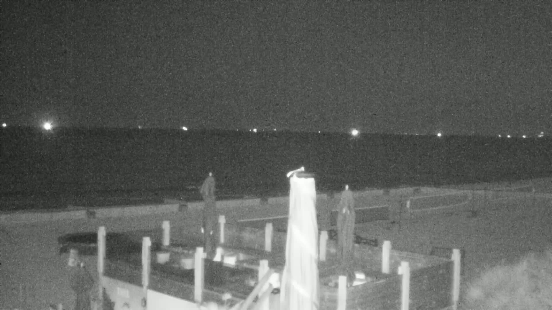 Knokke-Heist, Lekkerbek , Plage Chiens Kodak Live Cam - Bruges, West Flanders (Flandre-Occidentale), Flemish (Flamande), Belgium