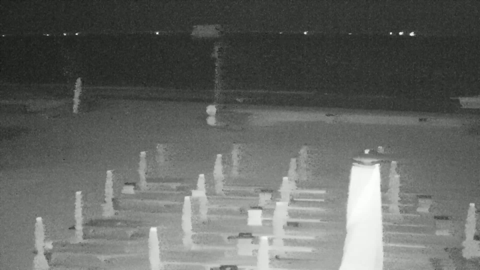 Knokke-Heist, Lekkerbek , Plage Chiens Kodak Live Cam - Bruges, West Flanders (Flandre-Occidentale), Flemish (Flamande), Belgium