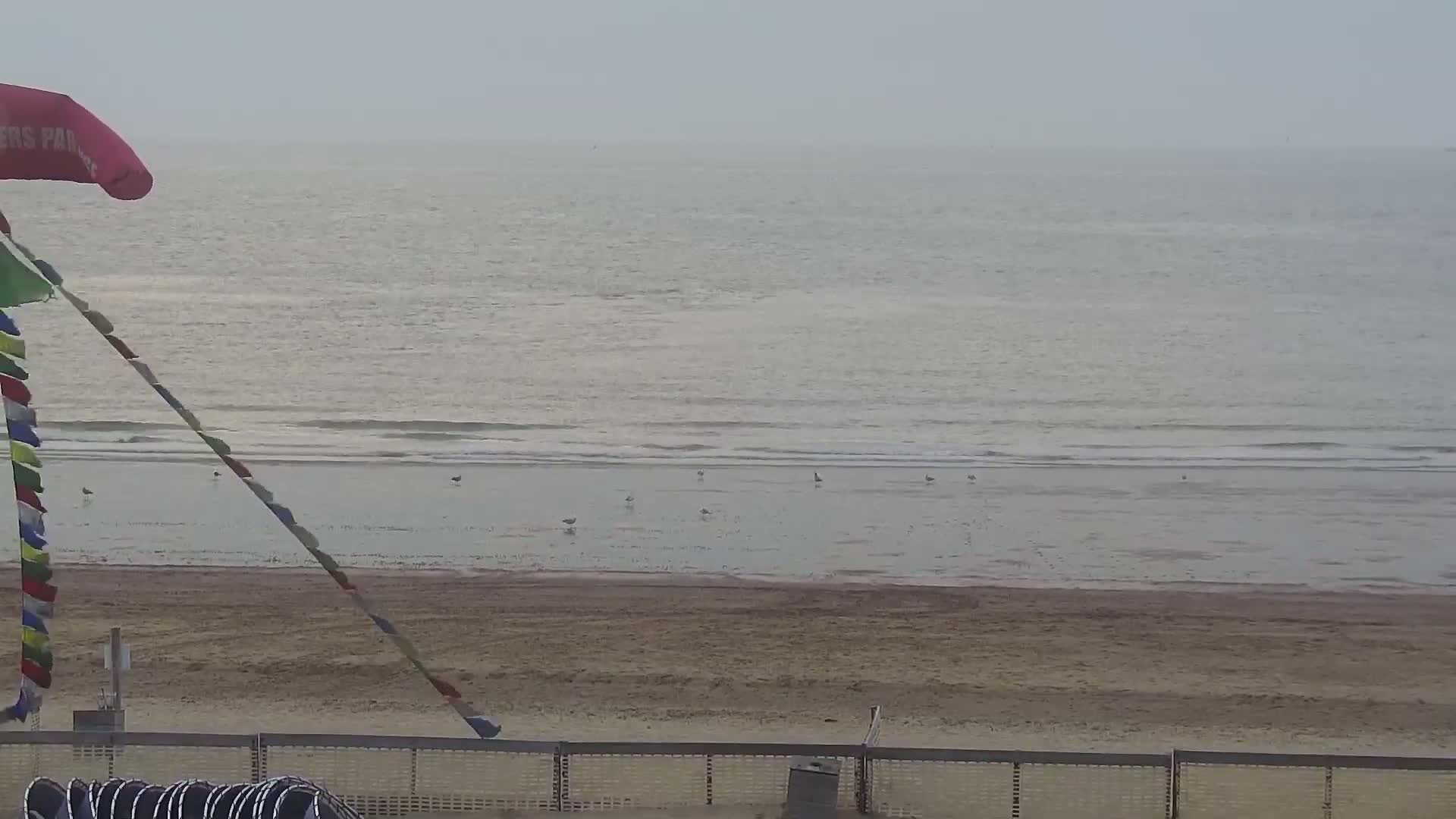 Knokke-Heist, Lekkerbek , Plage Chiens Kodak Live Cam - Bruges, West Flanders (Flandre-Occidentale), Flemish (Flamande), Belgium