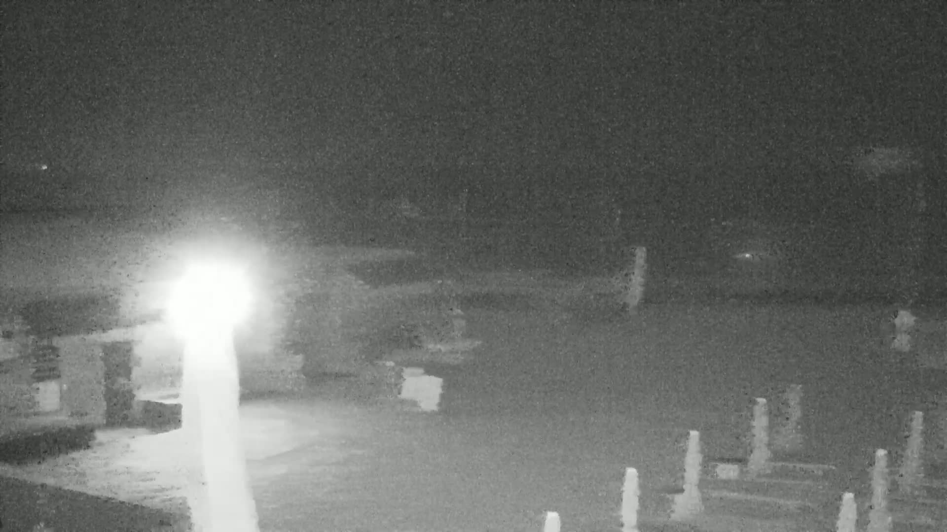 Knokke-Heist, Lekkerbek , Plage Chiens Kodak Live Cam - Bruges, West Flanders (Flandre-Occidentale), Flemish (Flamande), Belgium