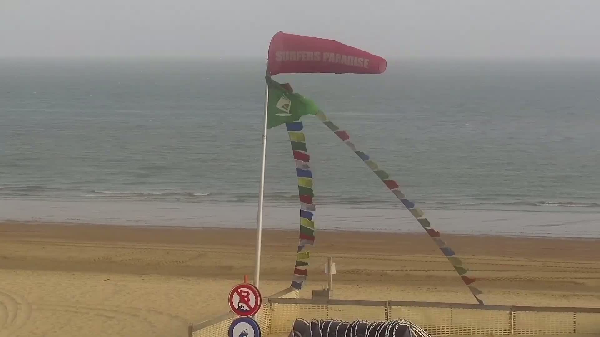 Knokke-Heist, Lekkerbek , Plage Chiens Kodak Live Cam - Bruges, West Flanders (Flandre-Occidentale), Flemish (Flamande), Belgium