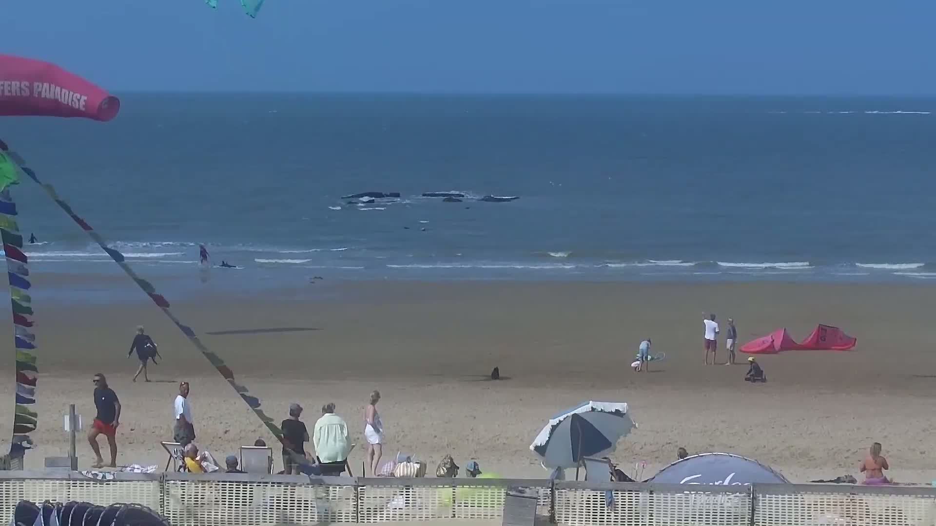 Knokke-Heist, Lekkerbek , Plage Chiens Kodak Live Cam - Bruges, West Flanders (Flandre-Occidentale), Flemish (Flamande), Belgium