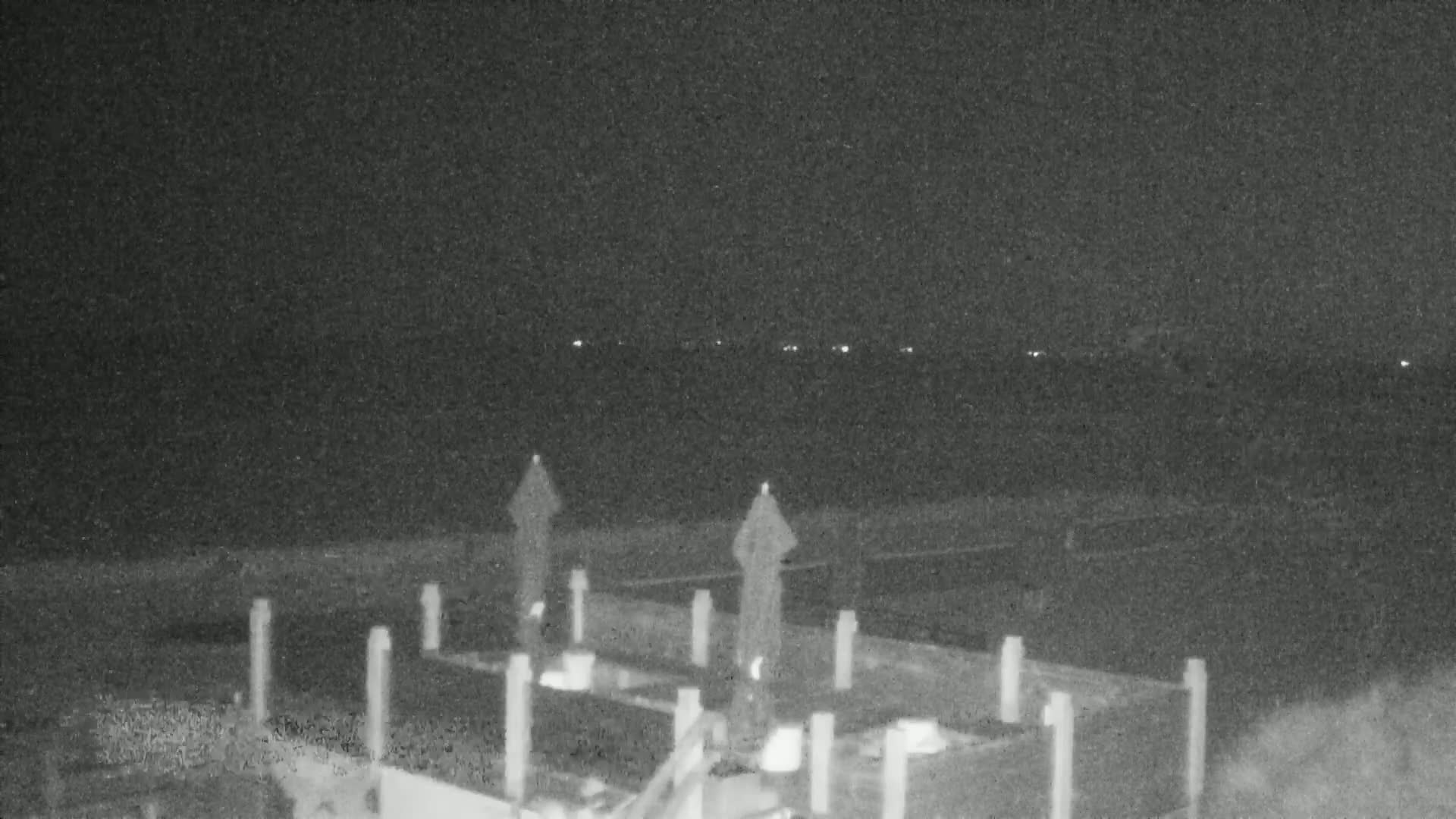 Knokke-Heist, Lekkerbek , Plage Chiens Kodak Live Cam - Bruges, West Flanders (Flandre-Occidentale), Flemish (Flamande), Belgium