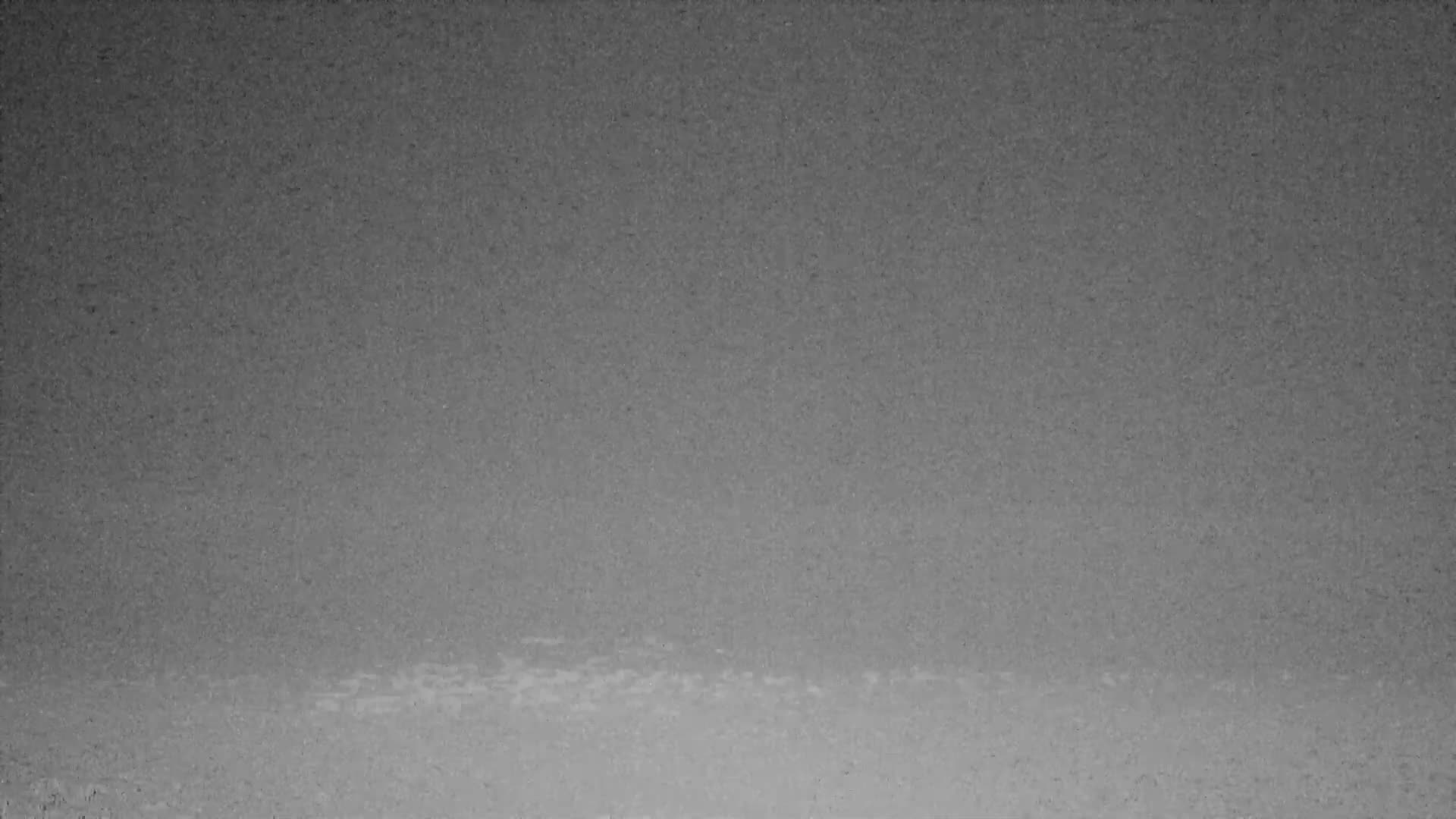 Knokke-Heist, Lekkerbek , Plage Chiens Kodak Live Cam - Bruges, West Flanders (Flandre-Occidentale), Flemish (Flamande), Belgium