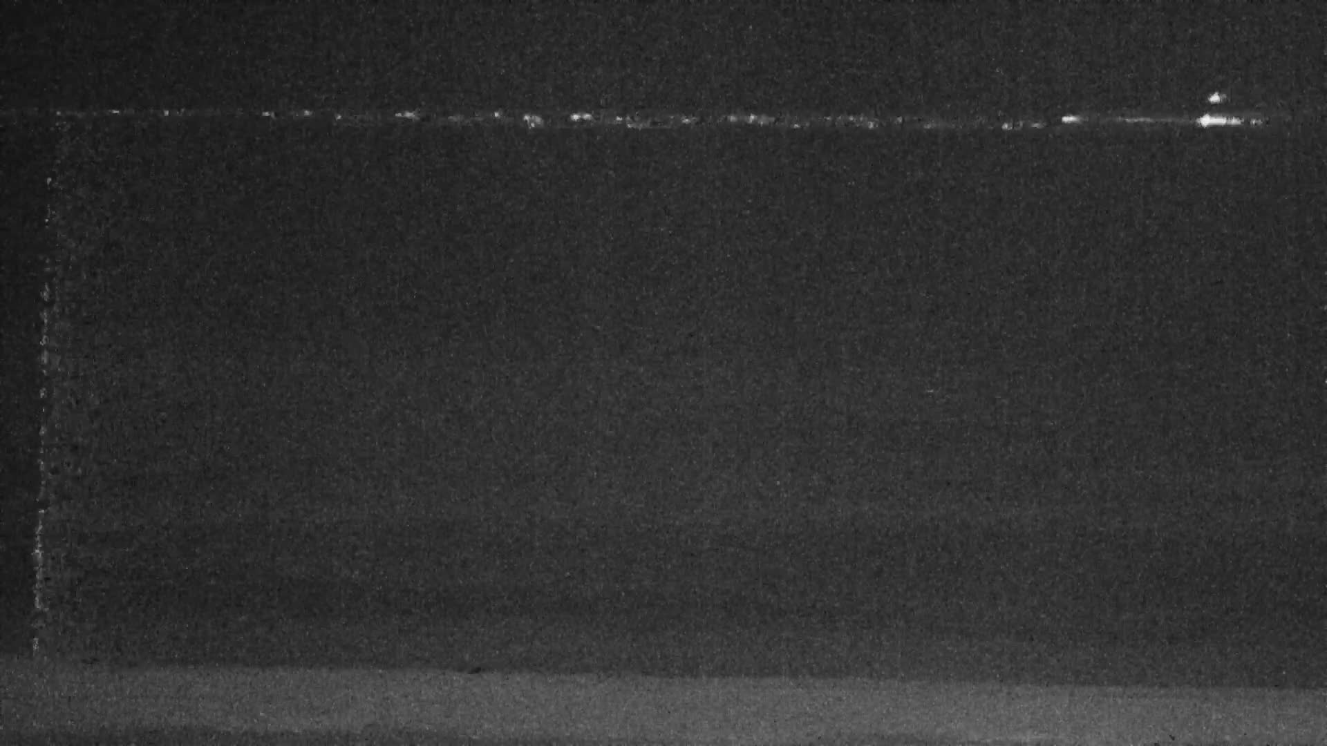 Knokke-Heist, Lekkerbek , Plage Chiens Kodak Live Cam - Bruges, West Flanders (Flandre-Occidentale), Flemish (Flamande), Belgium