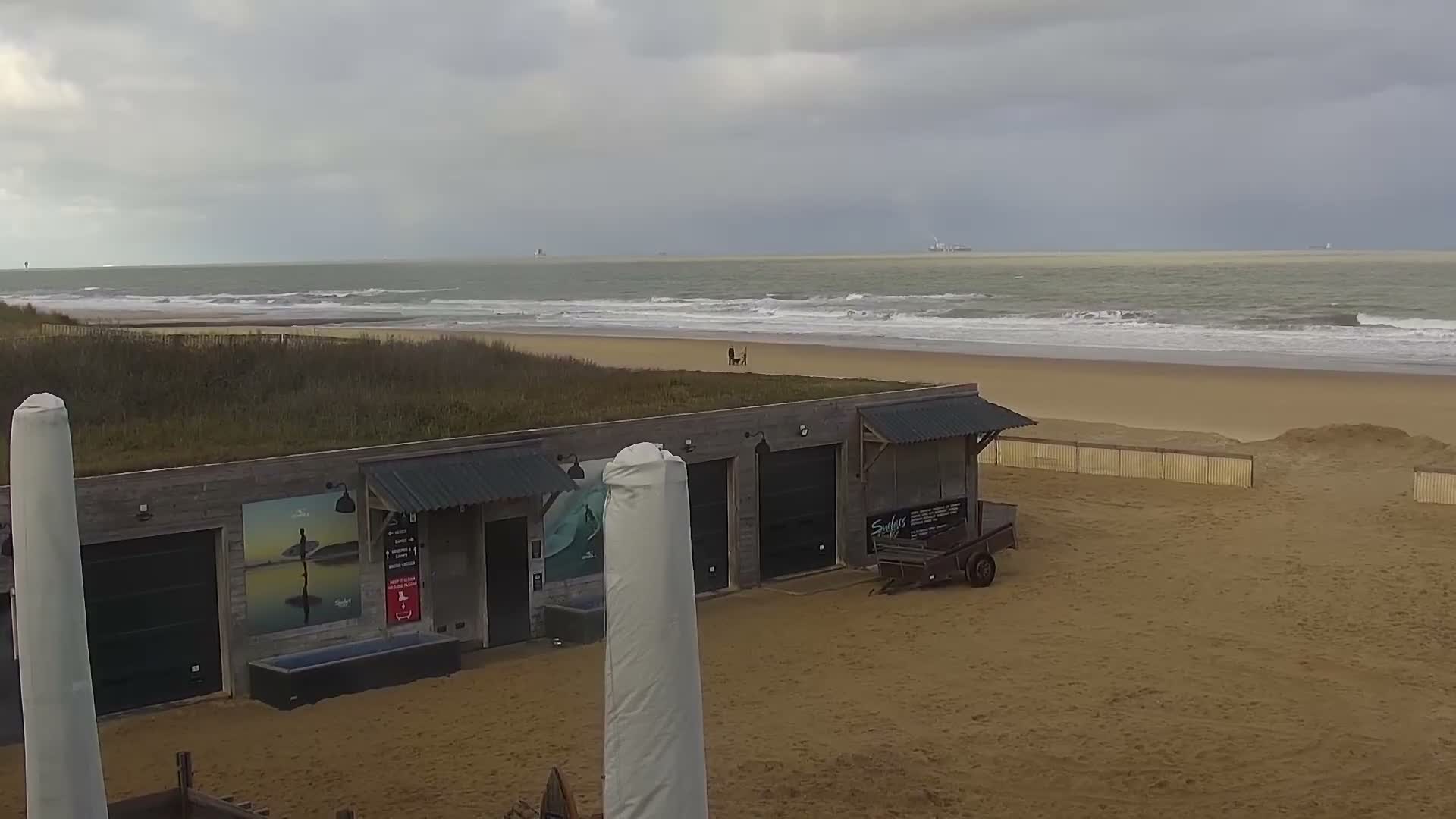 Knokke-Heist, Lekkerbek , Plage Chiens Kodak Live Cam - Bruges, West Flanders (Flandre-Occidentale), Flemish (Flamande), Belgium