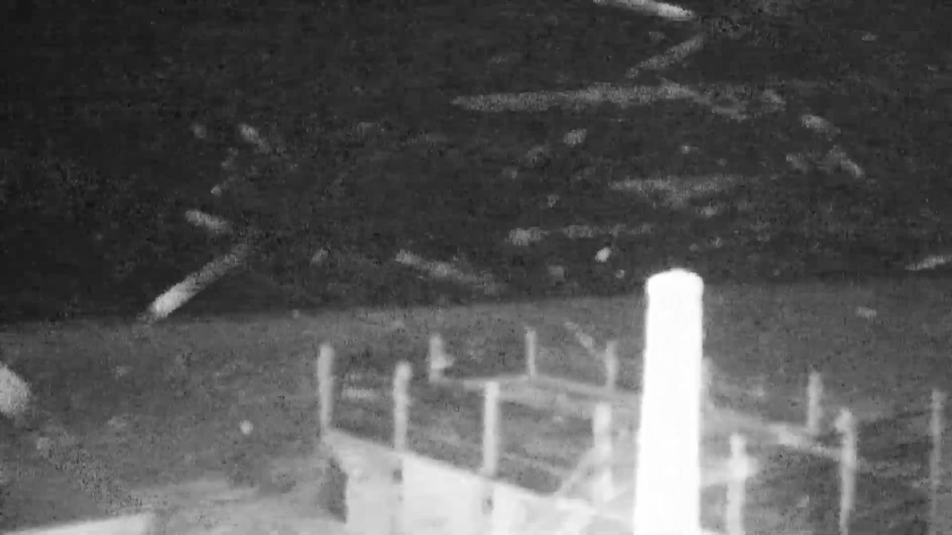 Knokke-Heist, Lekkerbek , Plage Chiens Kodak Live Cam - Bruges, West Flanders (Flandre-Occidentale), Flemish (Flamande), Belgium