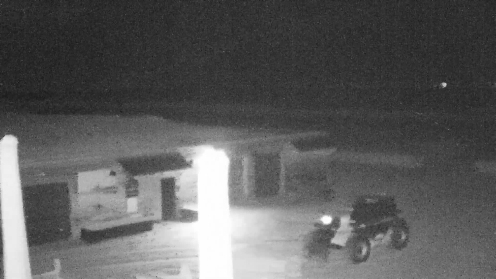 Knokke-Heist, Lekkerbek , Plage Chiens Kodak Live Cam - Bruges, West Flanders (Flandre-Occidentale), Flemish (Flamande), Belgium