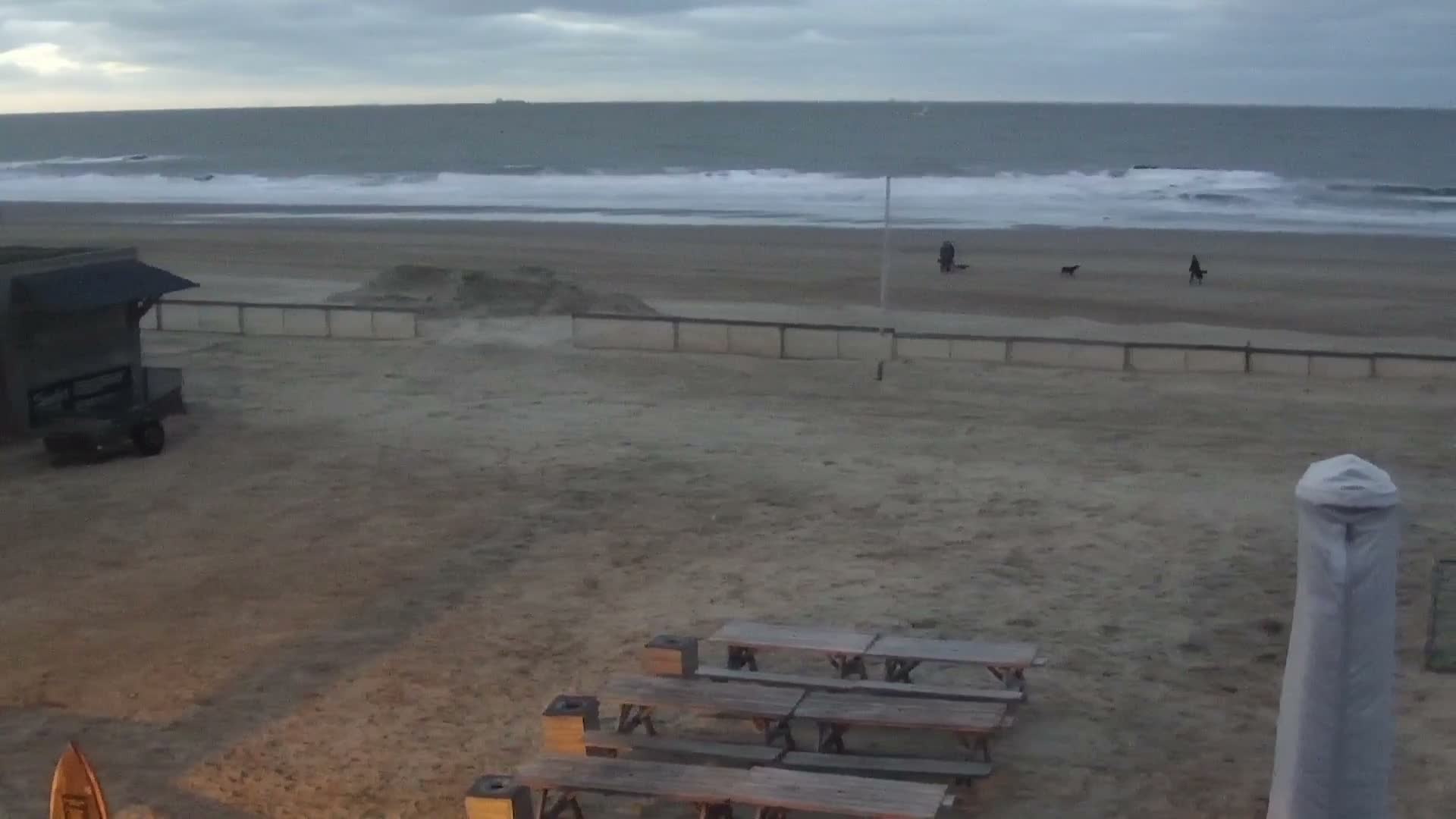 Knokke-Heist, Lekkerbek , Plage Chiens Kodak Live Cam - Bruges, West Flanders (Flandre-Occidentale), Flemish (Flamande), Belgium