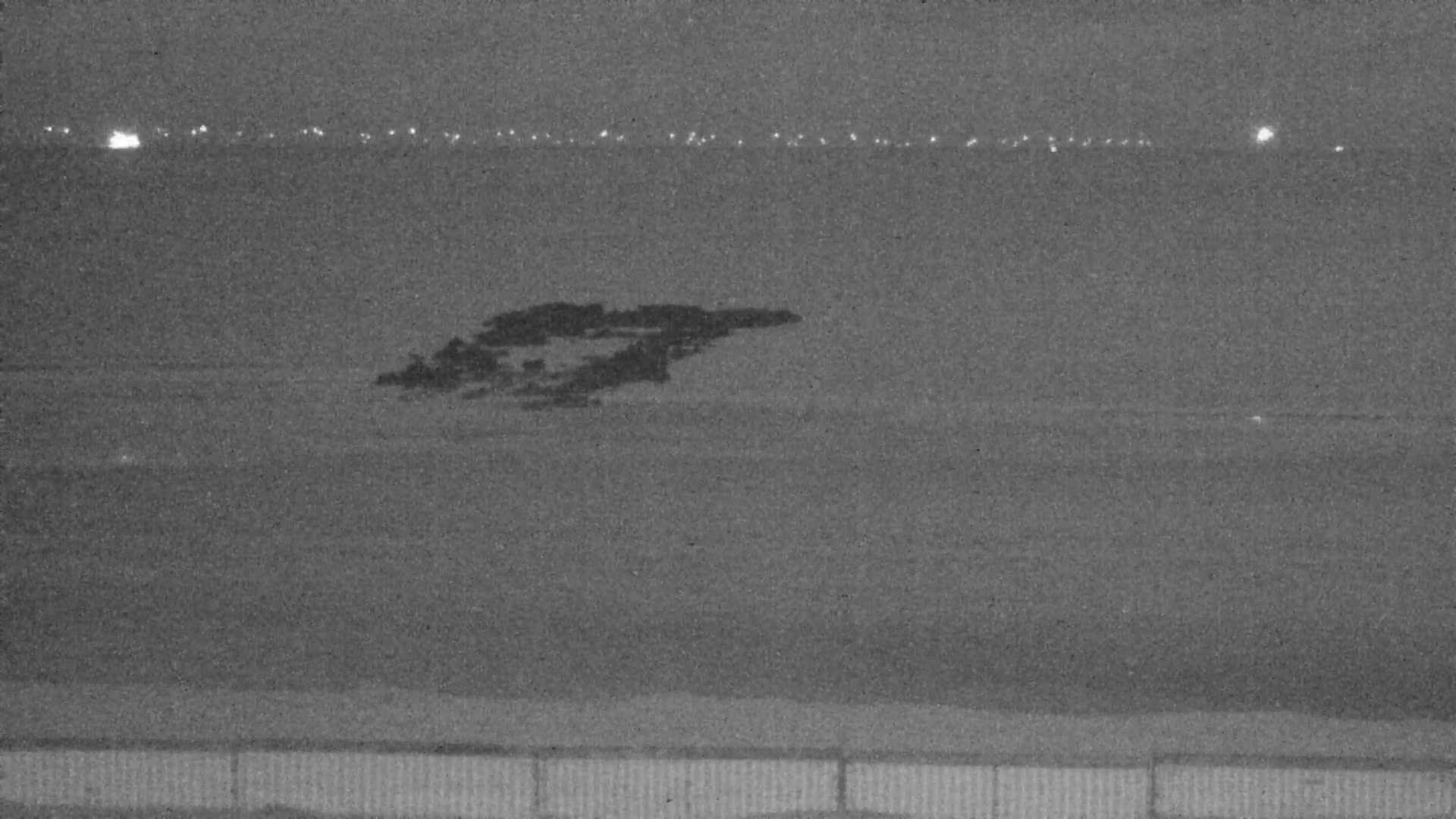 Knokke-Heist, Lekkerbek , Plage Chiens Kodak Live Cam - Bruges, West Flanders (Flandre-Occidentale), Flemish (Flamande), Belgium