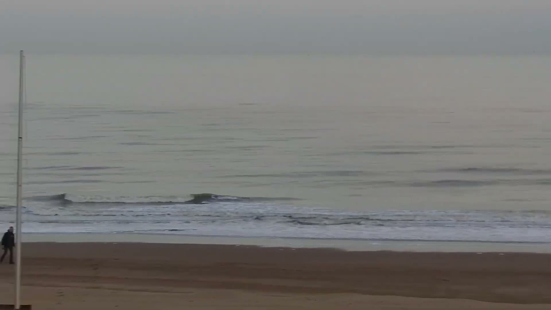Knokke-Heist, Lekkerbek , Plage Chiens Kodak Live Cam - Bruges, West Flanders (Flandre-Occidentale), Flemish (Flamande), Belgium