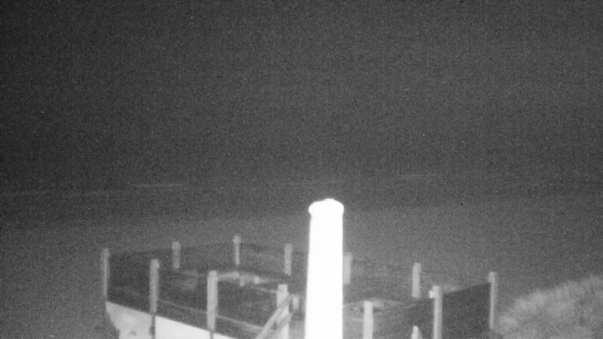 Knokke-Heist, Lekkerbek , Plage Chiens Kodak Live Cam - Bruges, West Flanders (Flandre-Occidentale), Flemish (Flamande), Belgium