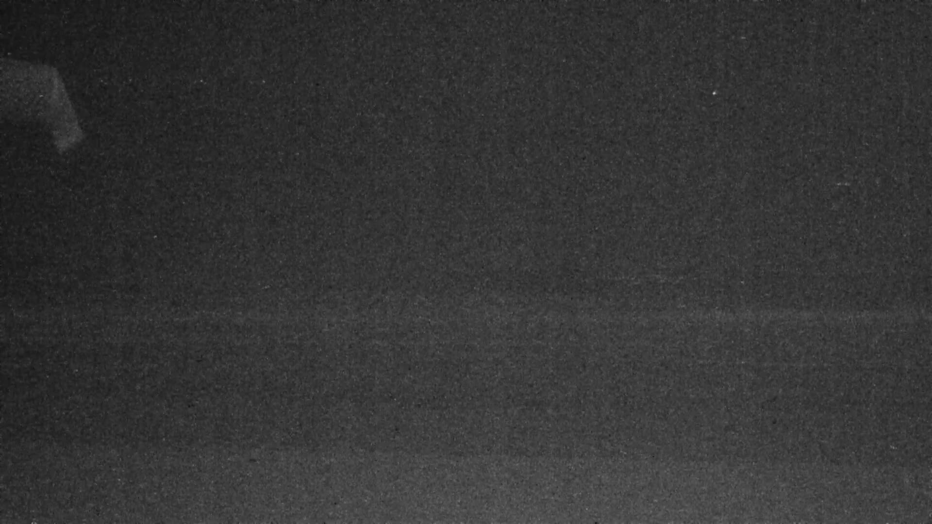 Knokke-Heist, Lekkerbek , Plage Chiens Kodak Live Cam - Bruges, West Flanders (Flandre-Occidentale), Flemish (Flamande), Belgium