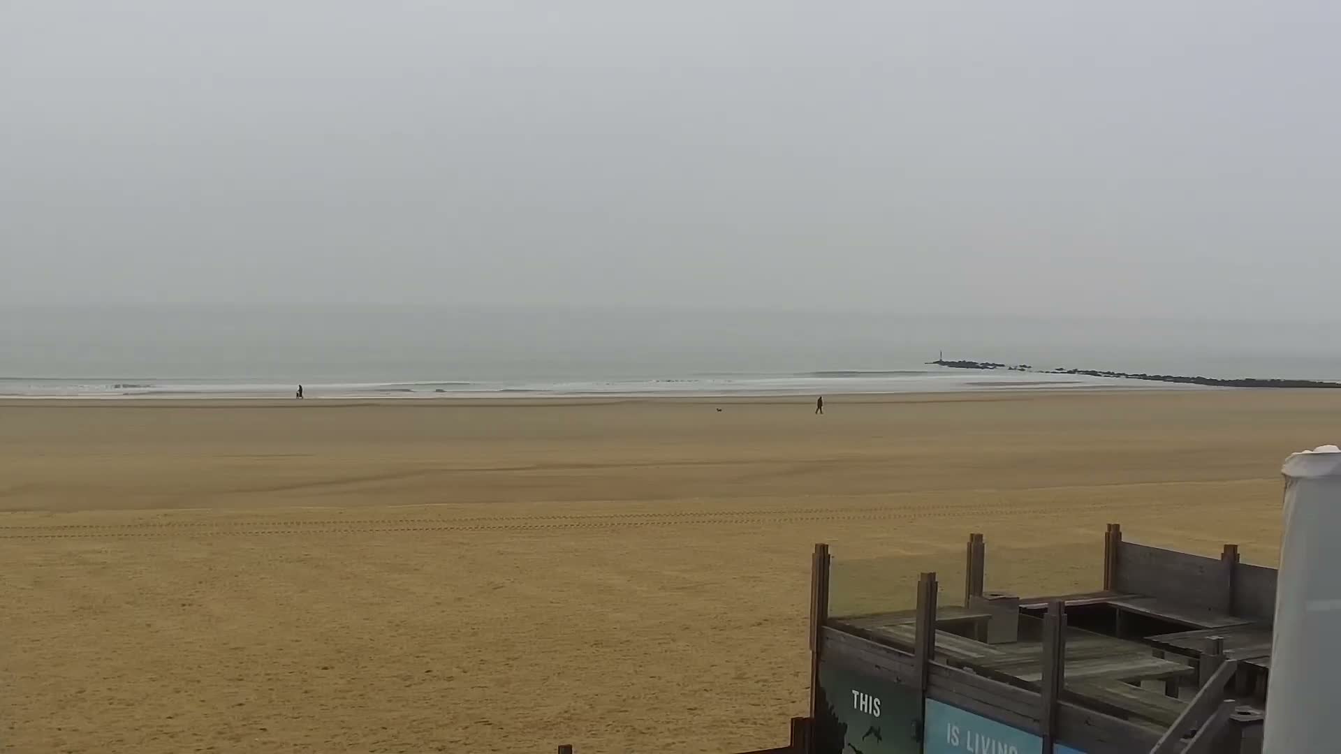 Knokke-Heist, Lekkerbek , Plage Chiens Kodak Live Cam - Bruges, West Flanders (Flandre-Occidentale), Flemish (Flamande), Belgium