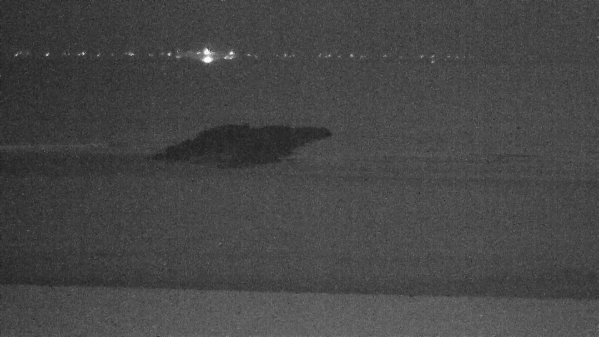 Knokke-Heist, Lekkerbek , Plage Chiens Kodak Live Cam - Bruges, West Flanders (Flandre-Occidentale), Flemish (Flamande), Belgium