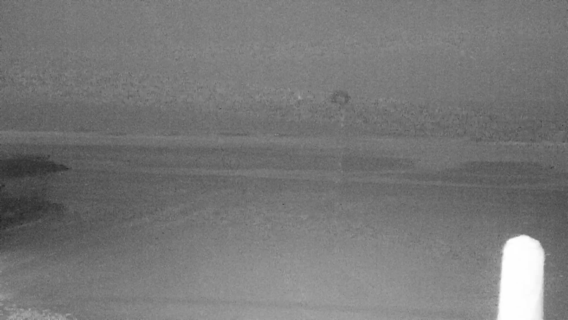 Knokke-Heist, Lekkerbek , Plage Chiens Kodak Live Cam - Bruges, West Flanders (Flandre-Occidentale), Flemish (Flamande), Belgium