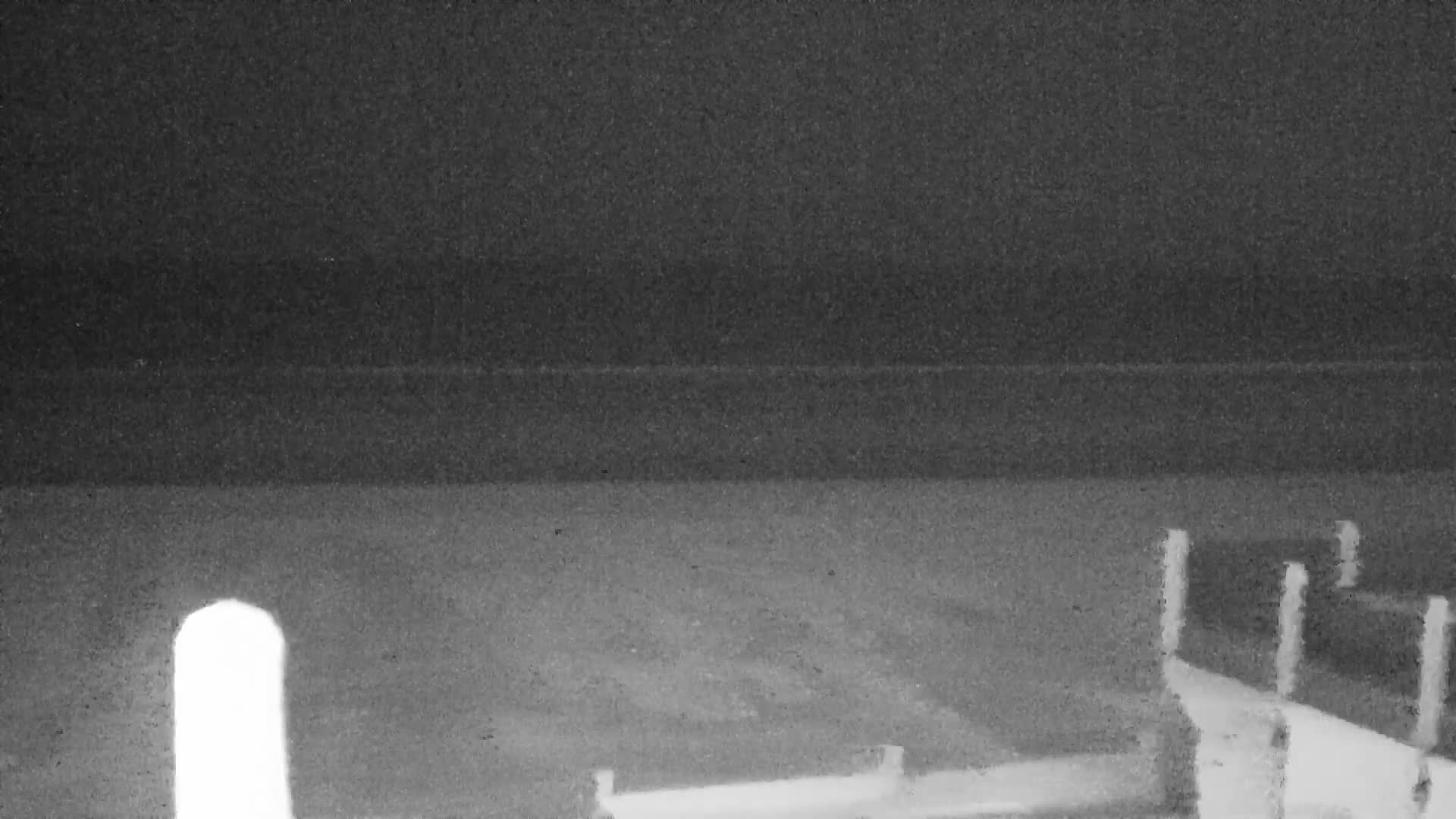 Knokke-Heist, Lekkerbek , Plage Chiens Kodak Live Cam - Bruges, West Flanders (Flandre-Occidentale), Flemish (Flamande), Belgium