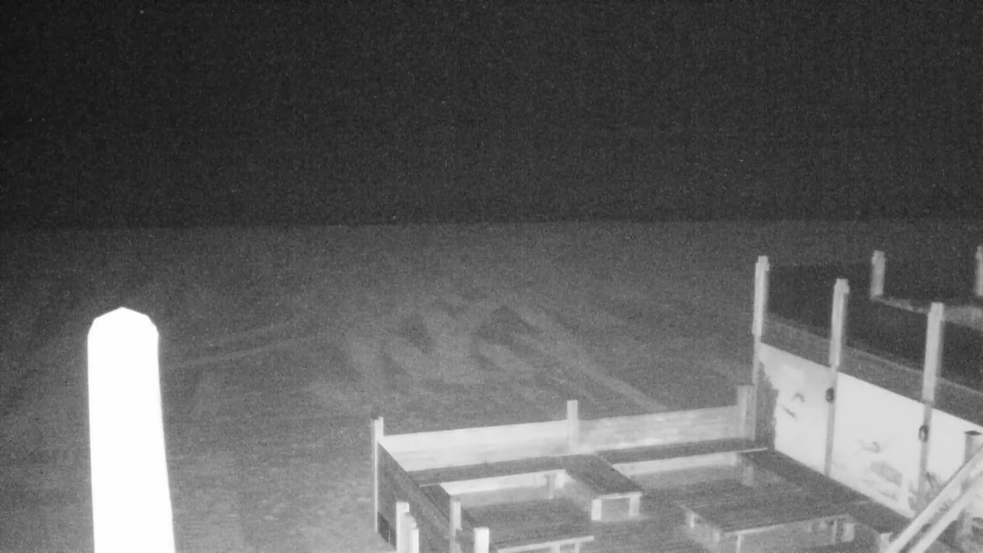 Knokke-Heist, Lekkerbek , Plage Chiens Kodak Live Cam - Bruges, West Flanders (Flandre-Occidentale), Flemish (Flamande), Belgium