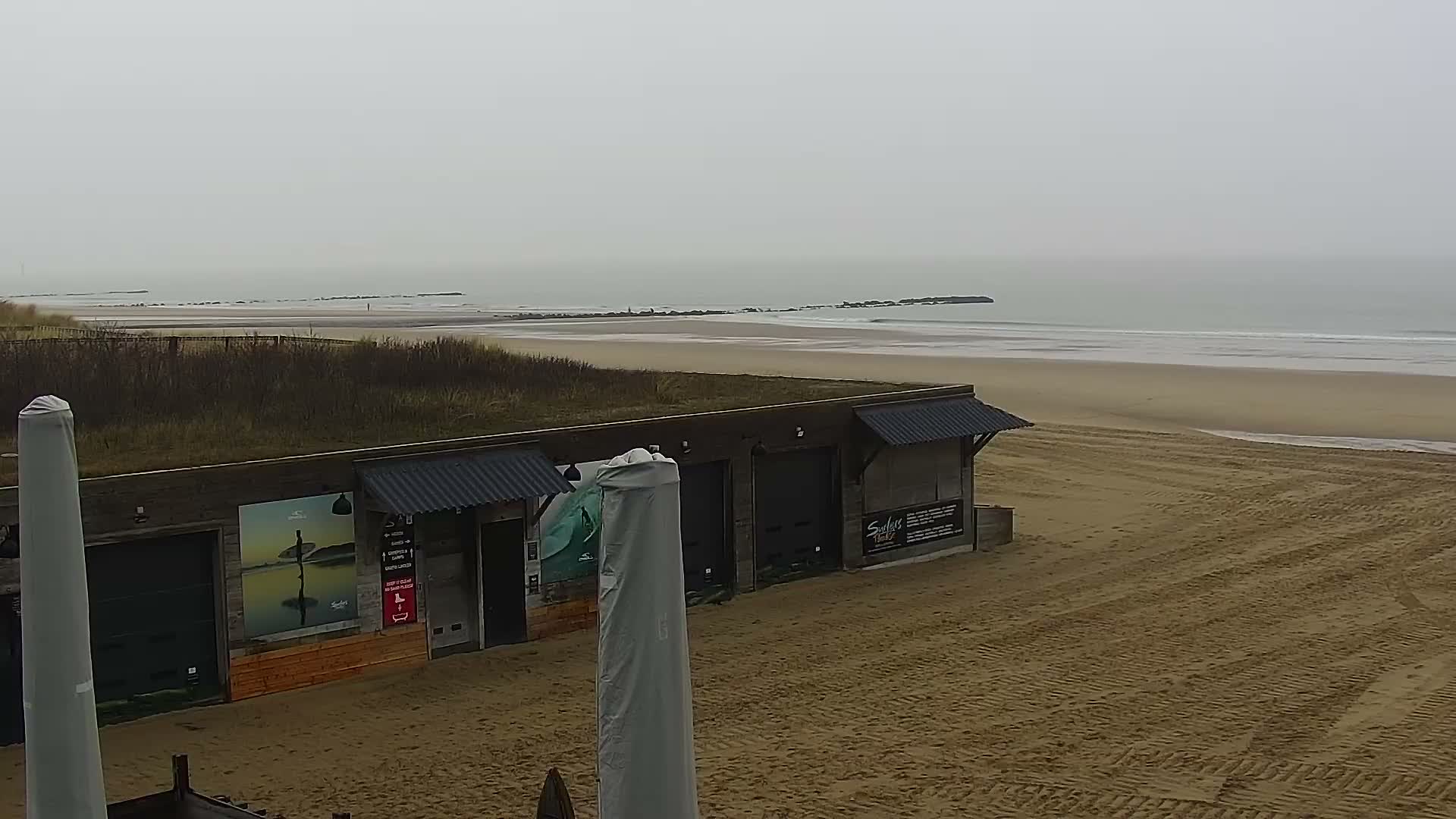 Knokke-Heist, Lekkerbek , Plage Chiens Kodak Live Cam - Bruges, West Flanders (Flandre-Occidentale), Flemish (Flamande), Belgium