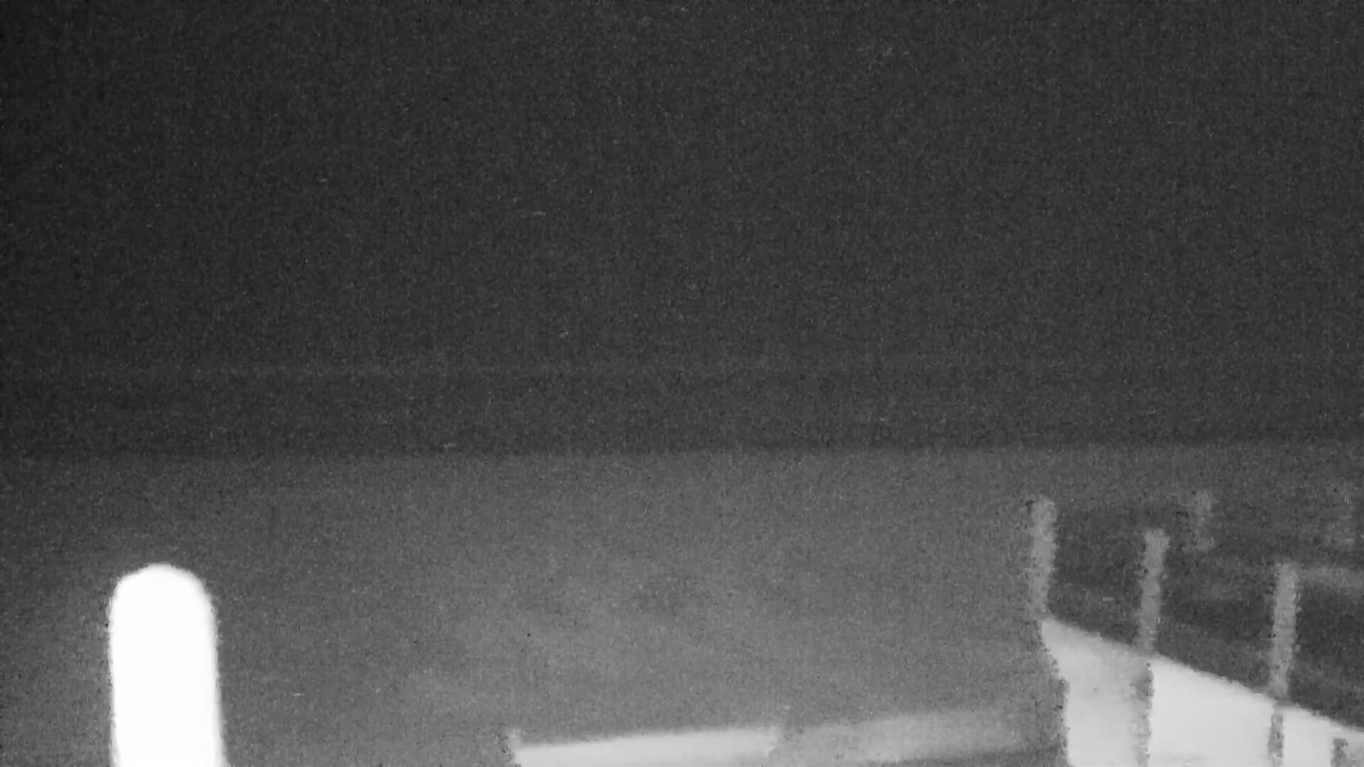 Knokke-Heist, Lekkerbek , Plage Chiens Kodak Live Cam - Bruges, West Flanders (Flandre-Occidentale), Flemish (Flamande), Belgium