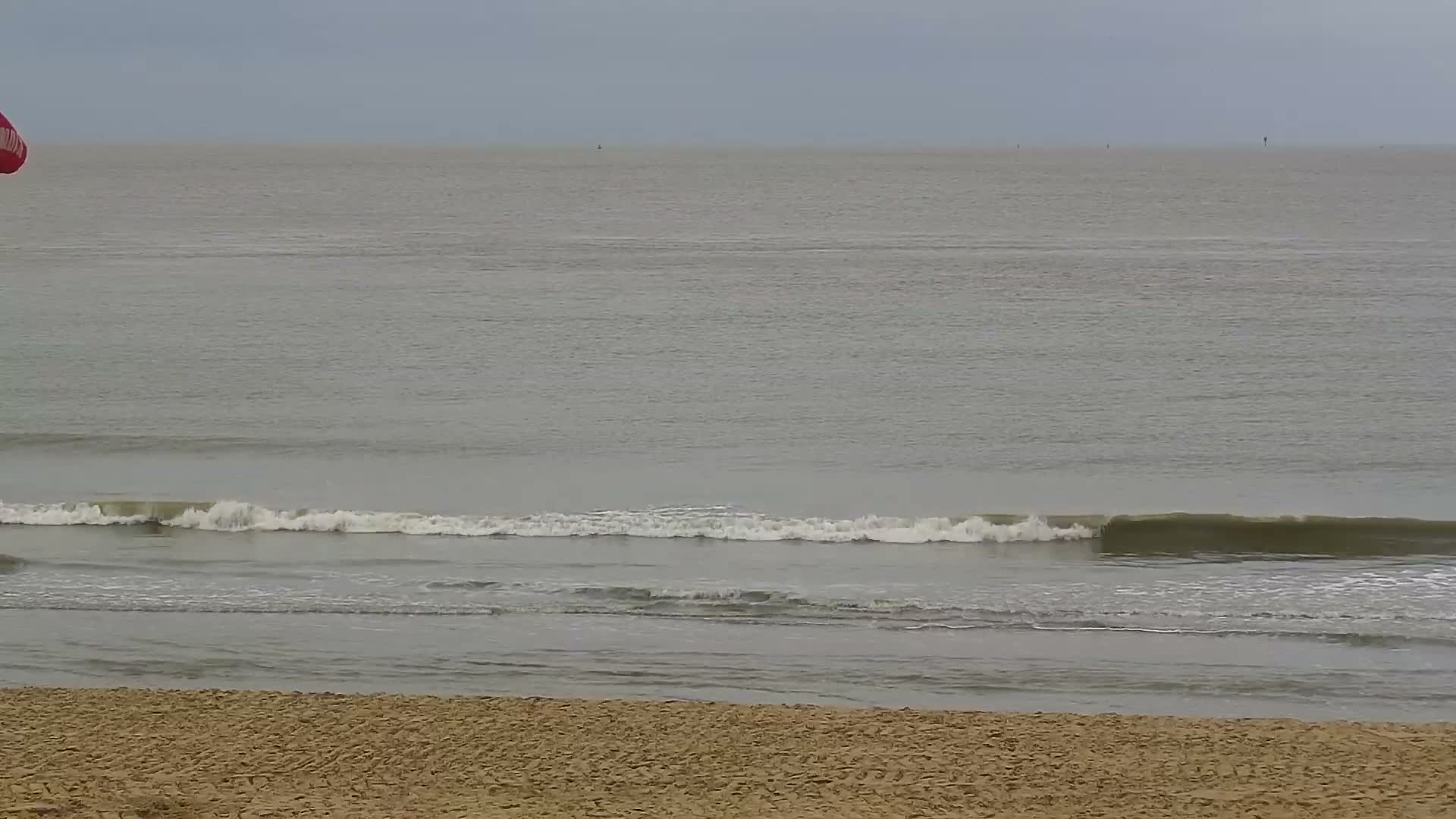 Knokke-Heist, Lekkerbek , Plage Chiens Kodak Live Cam - Bruges, West Flanders (Flandre-Occidentale), Flemish (Flamande), Belgium