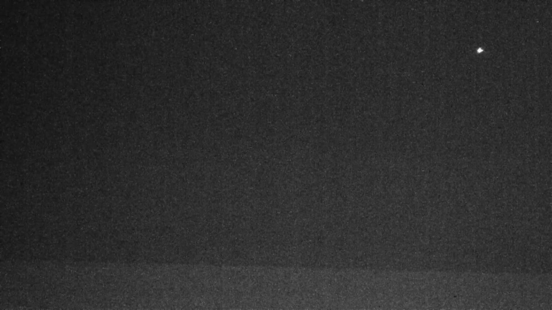 Knokke-Heist, Lekkerbek , Plage Chiens Kodak Live Cam - Bruges, West Flanders (Flandre-Occidentale), Flemish (Flamande), Belgium