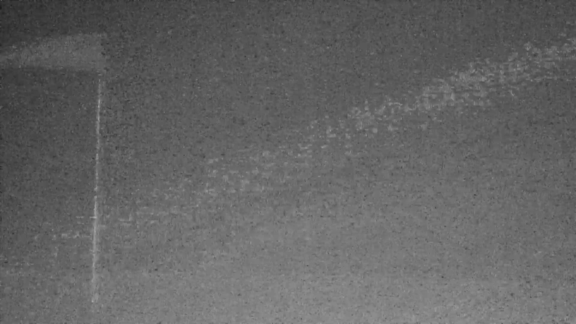 Knokke-Heist, Lekkerbek , Plage Chiens Kodak Live Cam - Bruges, West Flanders (Flandre-Occidentale), Flemish (Flamande), Belgium