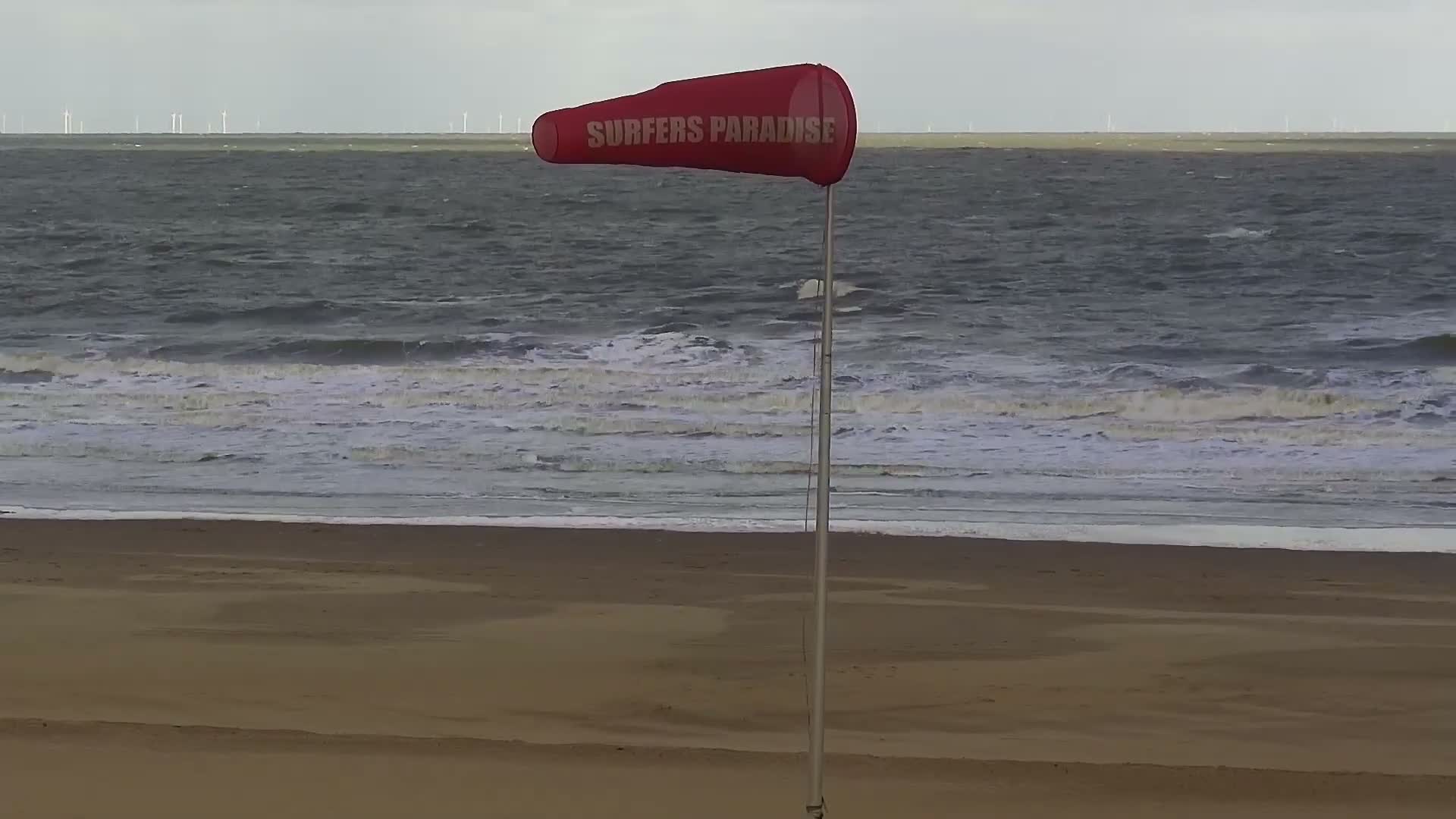 Knokke-Heist, Lekkerbek , Plage Chiens Kodak Live Cam - Bruges, West Flanders (Flandre-Occidentale), Flemish (Flamande), Belgium