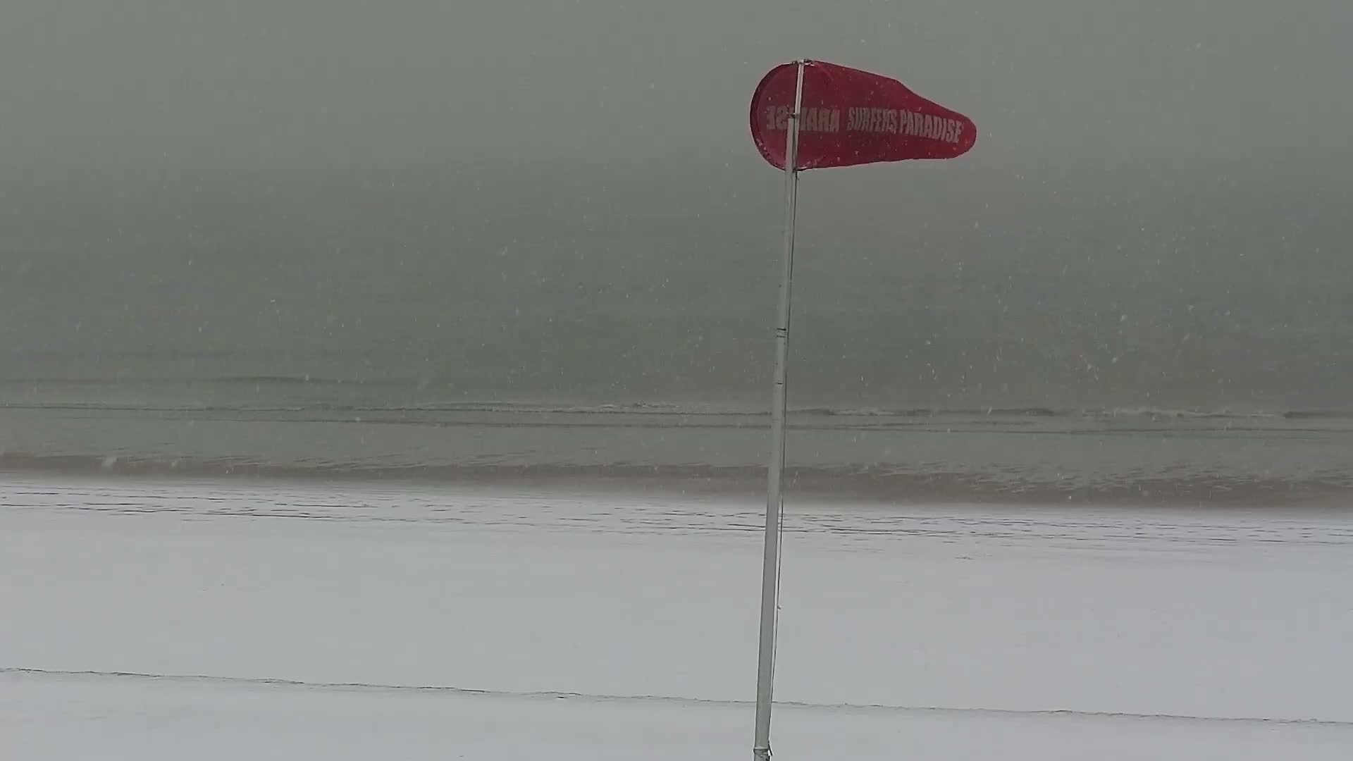 Knokke-Heist, Lekkerbek , Plage Chiens Kodak Live Cam - Bruges, West Flanders (Flandre-Occidentale), Flemish (Flamande), Belgium