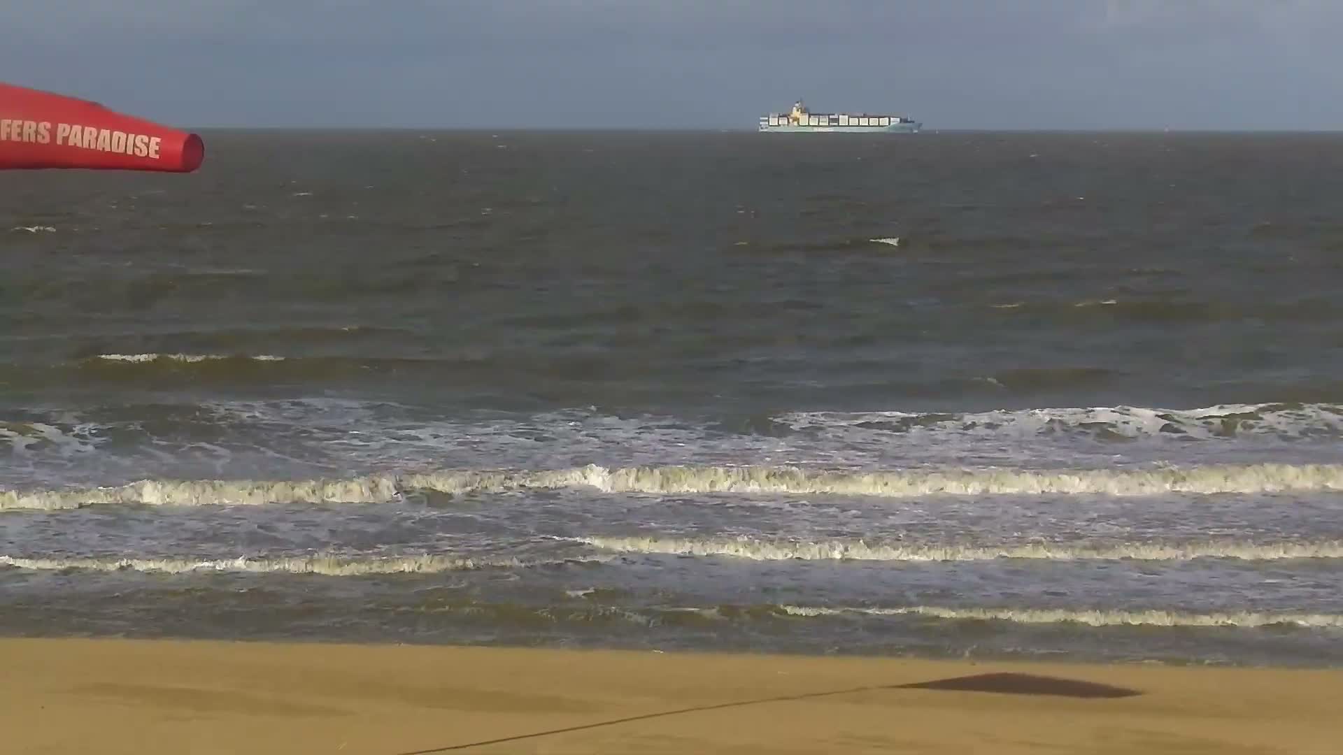 Knokke-Heist, Lekkerbek , Plage Chiens Kodak Live Cam - Bruges, West Flanders (Flandre-Occidentale), Flemish (Flamande), Belgium