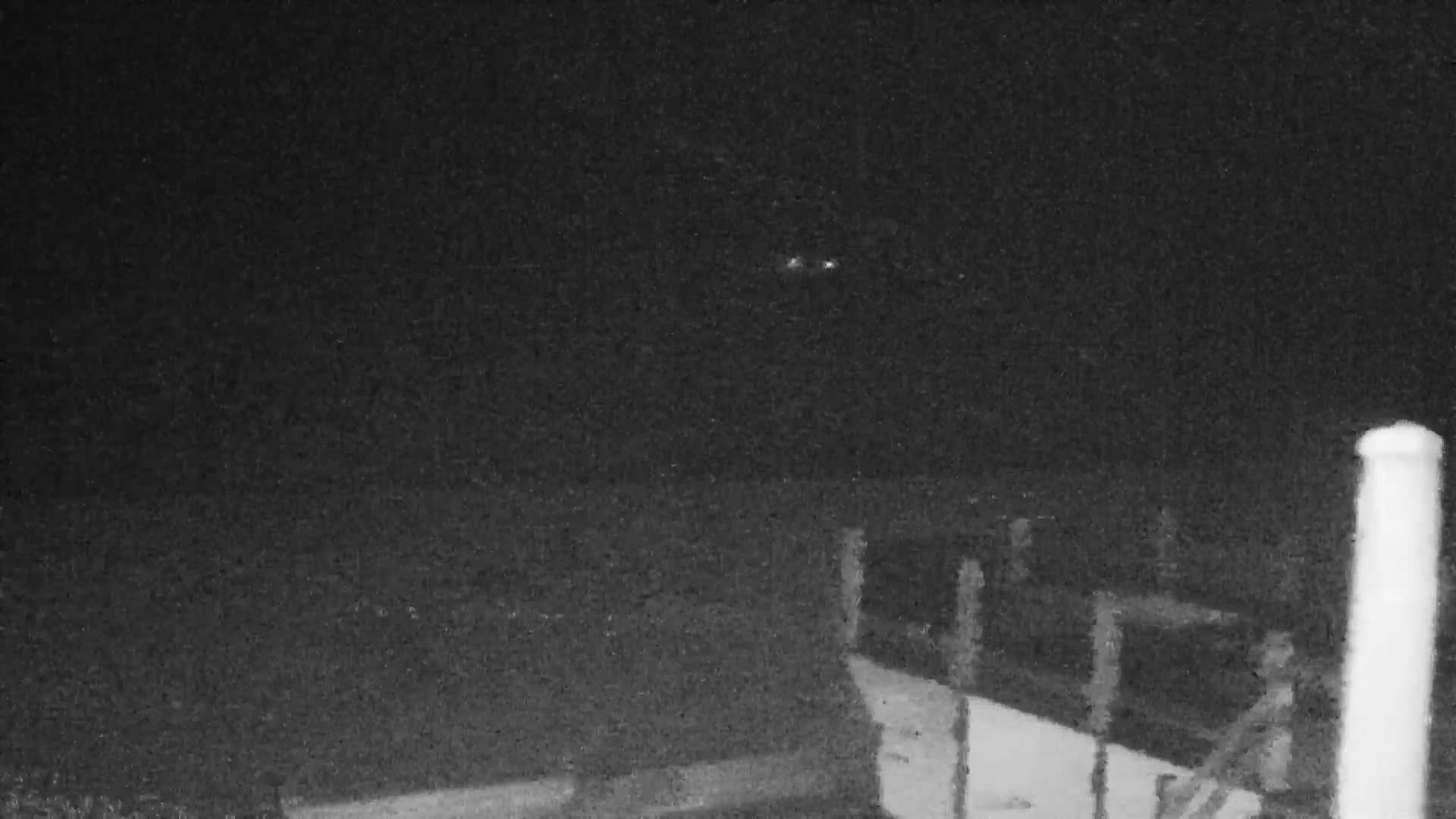 Knokke-Heist, Lekkerbek , Plage Chiens Kodak Live Cam - Bruges, West Flanders (Flandre-Occidentale), Flemish (Flamande), Belgium