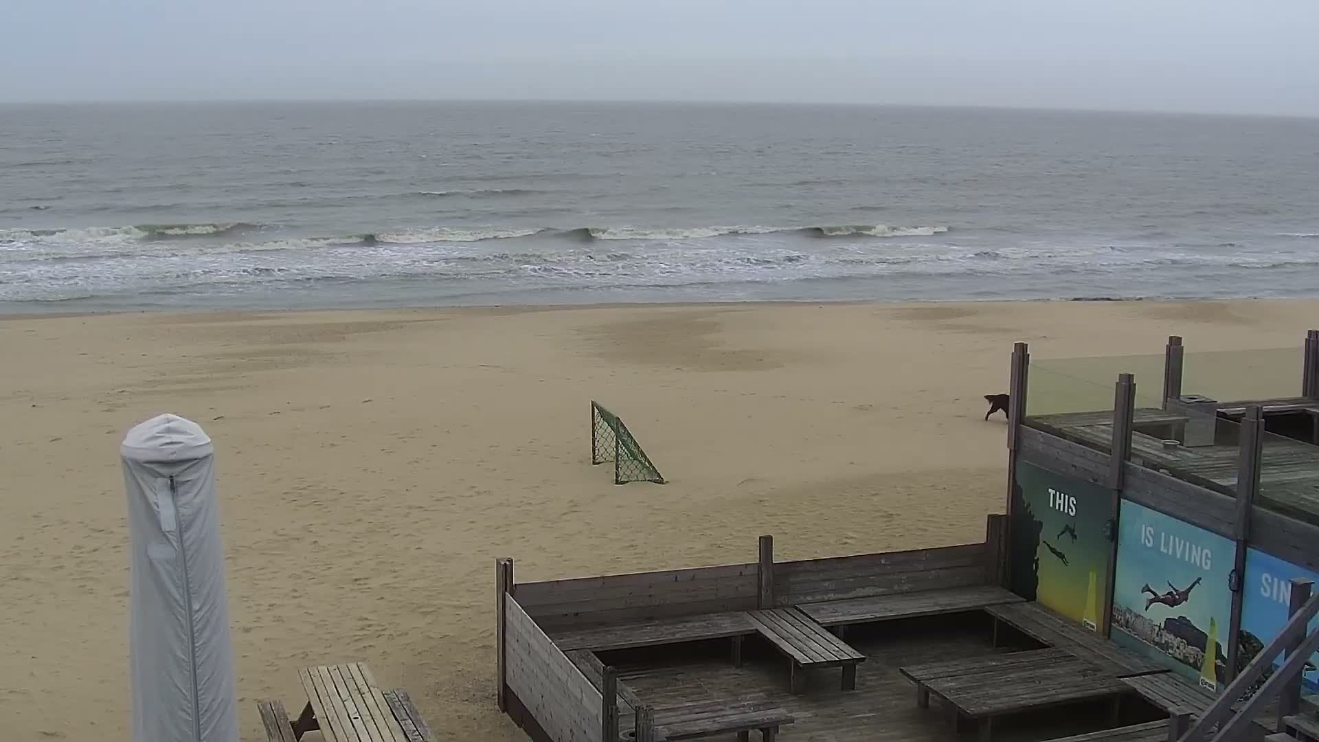 Knokke-Heist, Lekkerbek , Plage Chiens Kodak Live Cam - Bruges, West Flanders (Flandre-Occidentale), Flemish (Flamande), Belgium