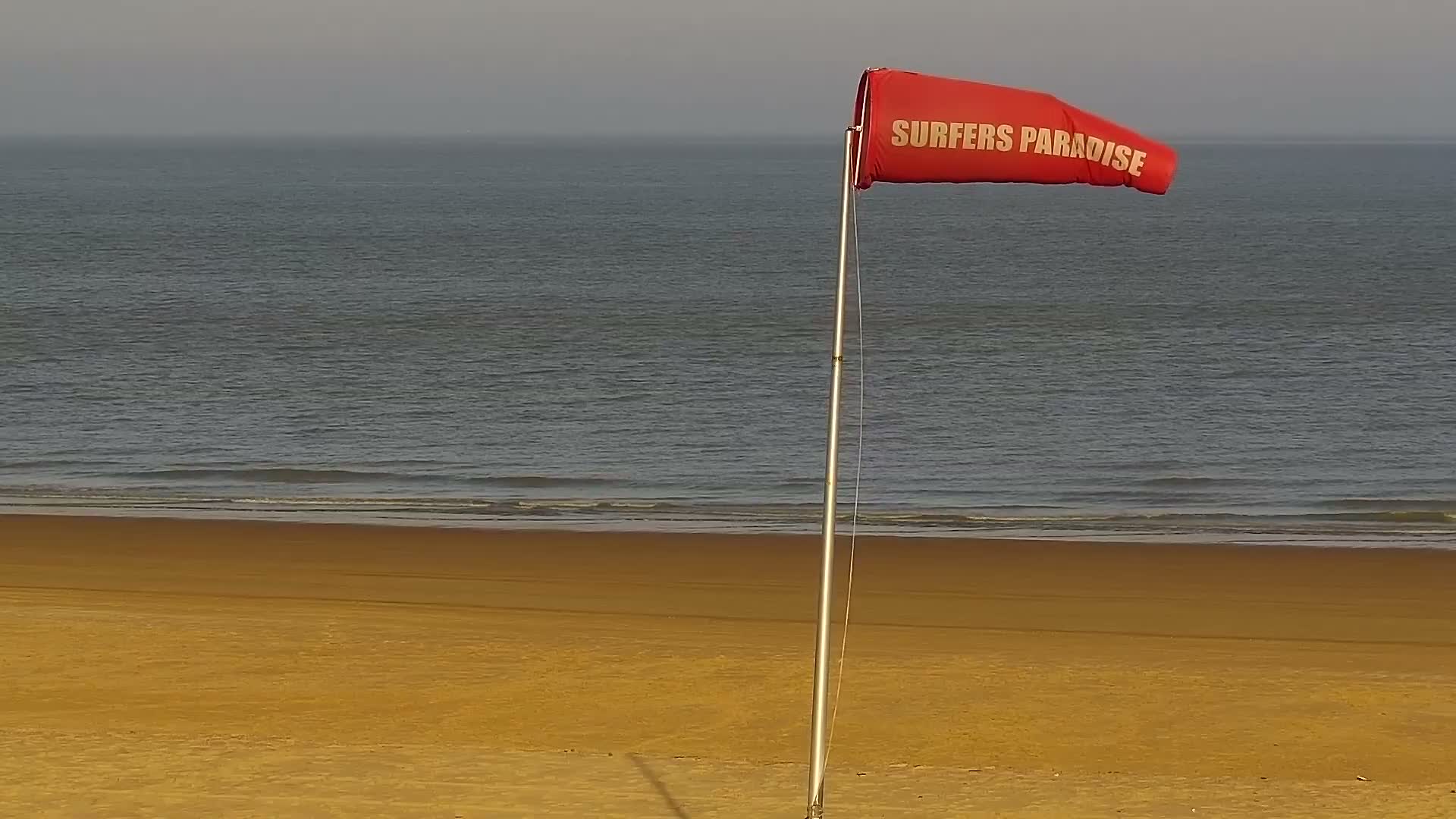 Knokke-Heist, Lekkerbek , Plage Chiens Kodak Live Cam - Bruges, West Flanders (Flandre-Occidentale), Flemish (Flamande), Belgium
