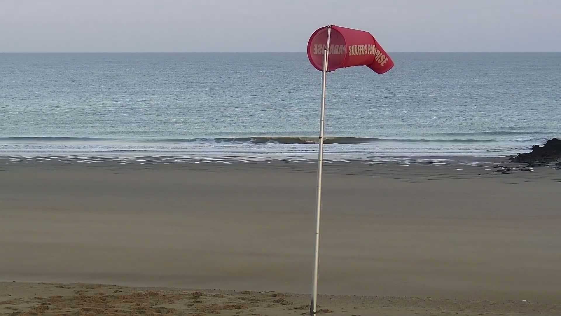 Knokke-Heist, Lekkerbek , Plage Chiens Kodak Live Cam - Bruges, West Flanders (Flandre-Occidentale), Flemish (Flamande), Belgium