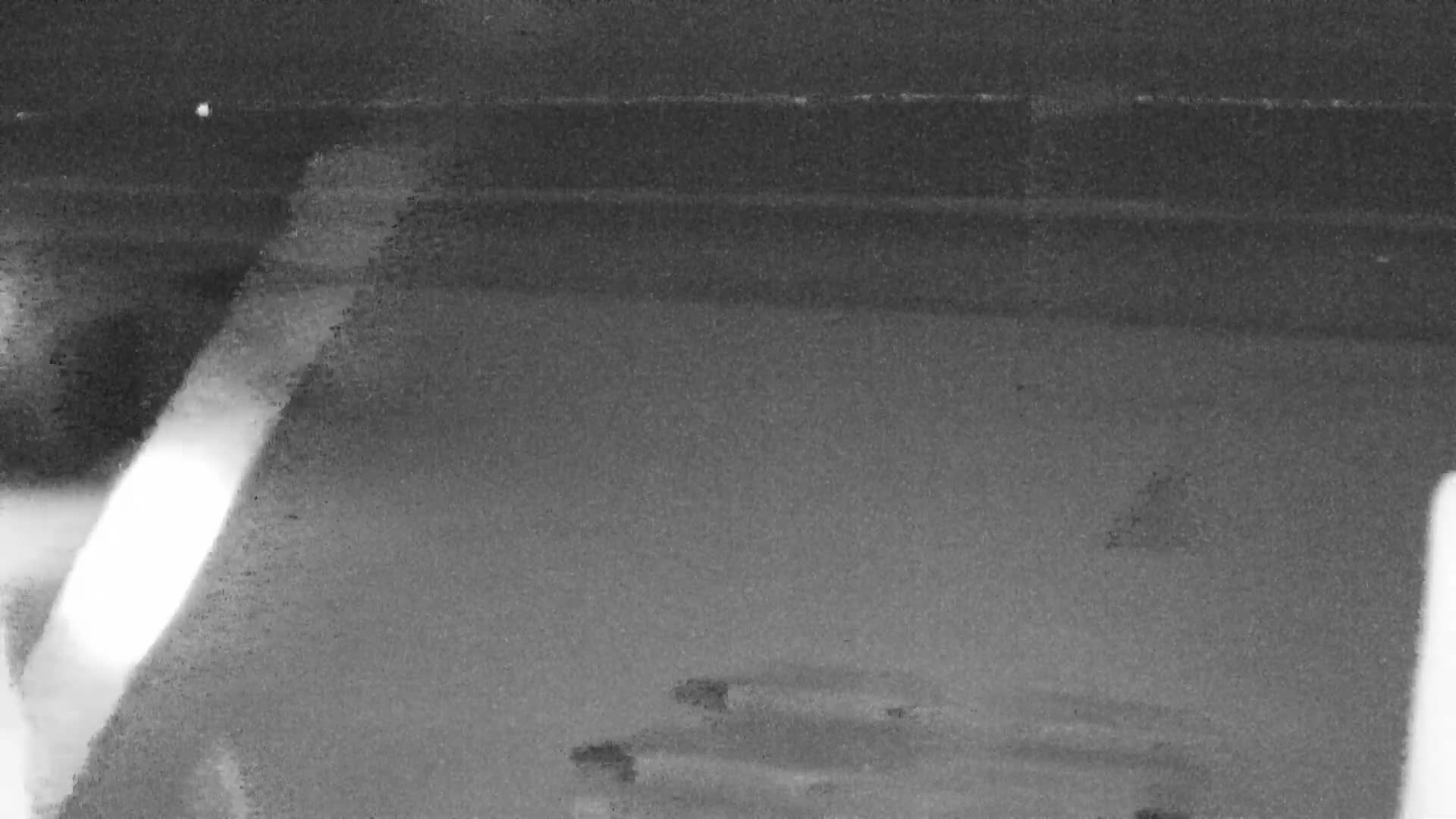 Knokke-Heist, Lekkerbek , Plage Chiens Kodak Live Cam - Bruges, West Flanders (Flandre-Occidentale), Flemish (Flamande), Belgium
