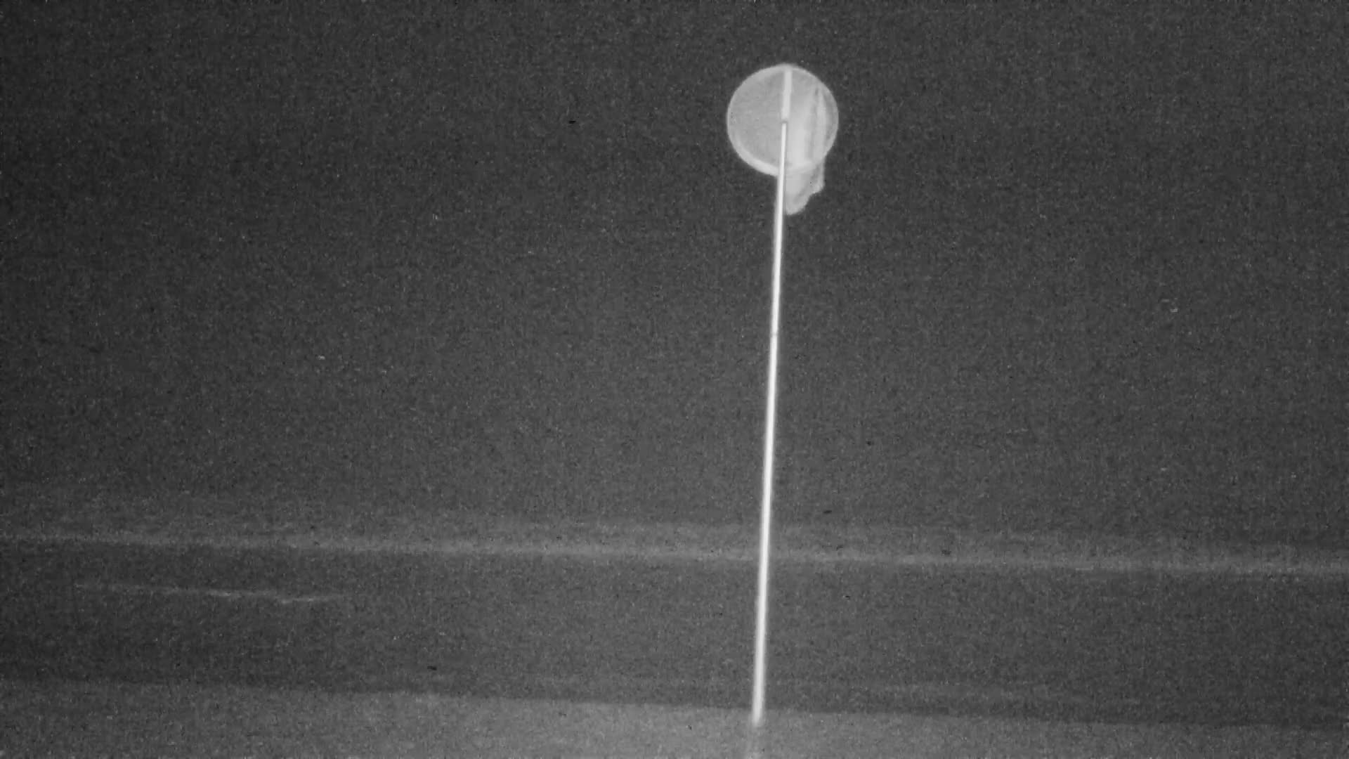 Knokke-Heist, Lekkerbek , Plage Chiens Kodak Live Cam - Bruges, West Flanders (Flandre-Occidentale), Flemish (Flamande), Belgium